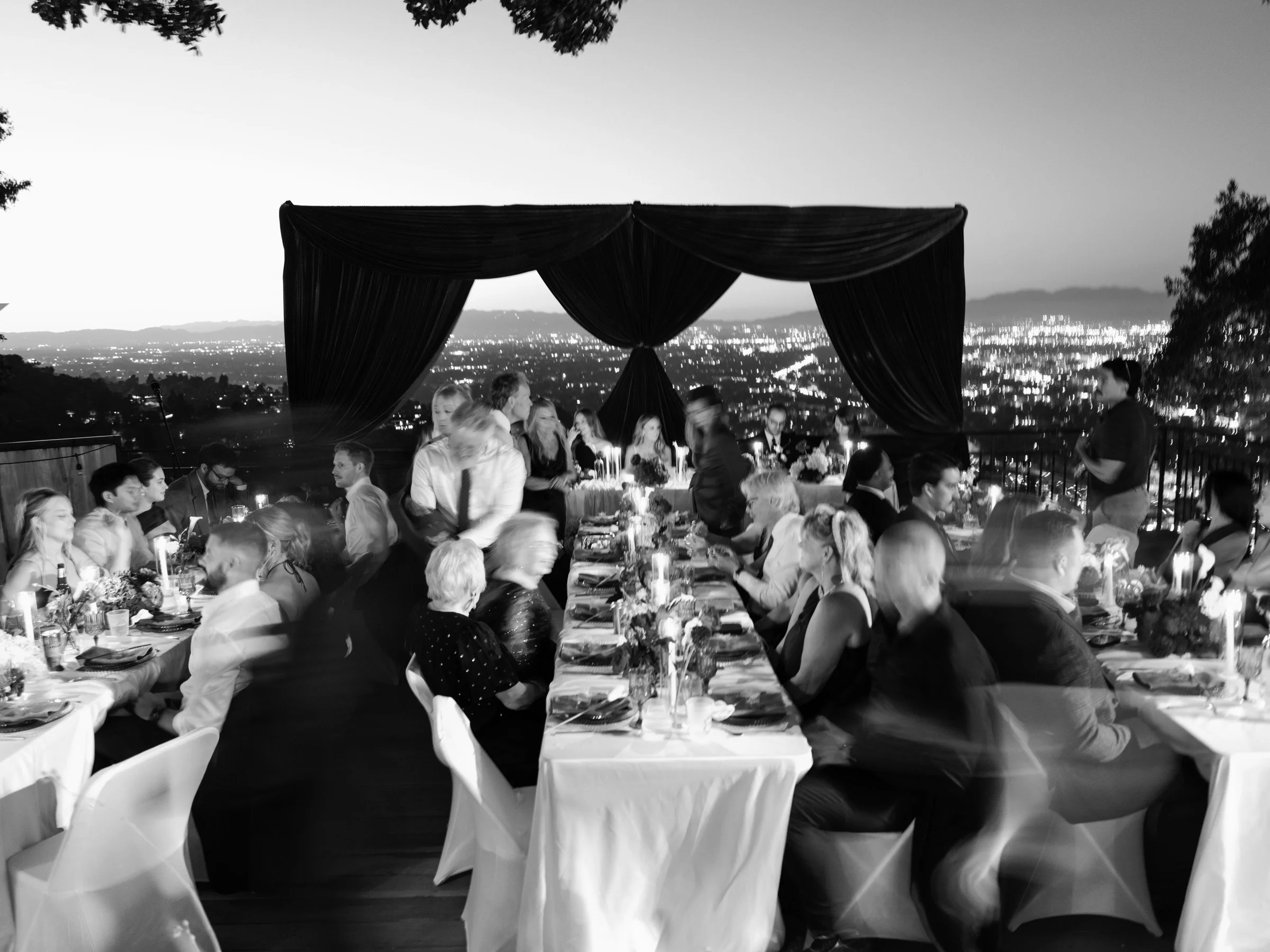 Wedding guests at tables beneath trees and draping