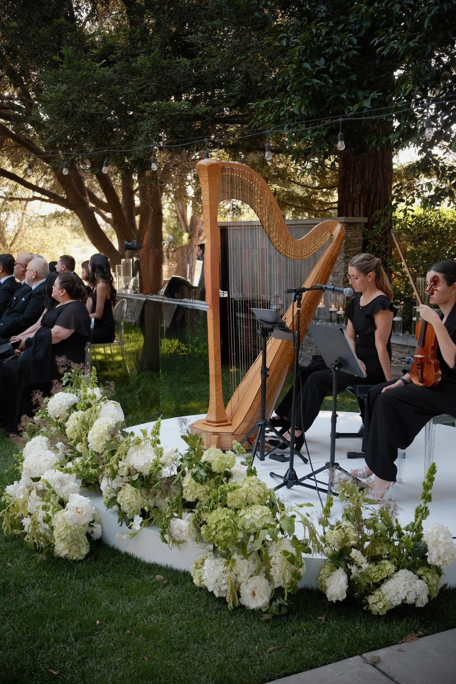 Harpist beside white garden flowers
