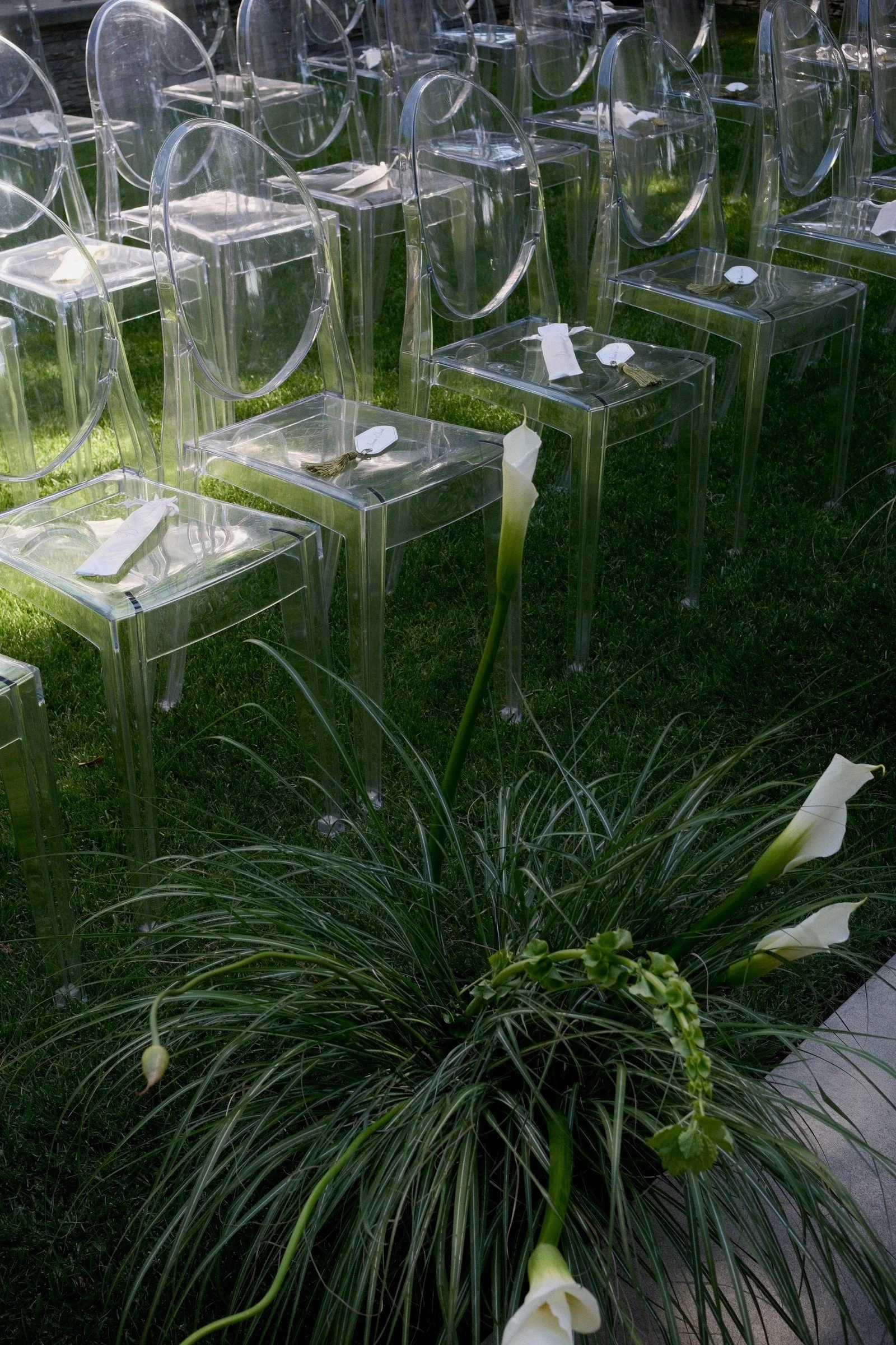 Transparent ceremony chairs beside ornamental grasses