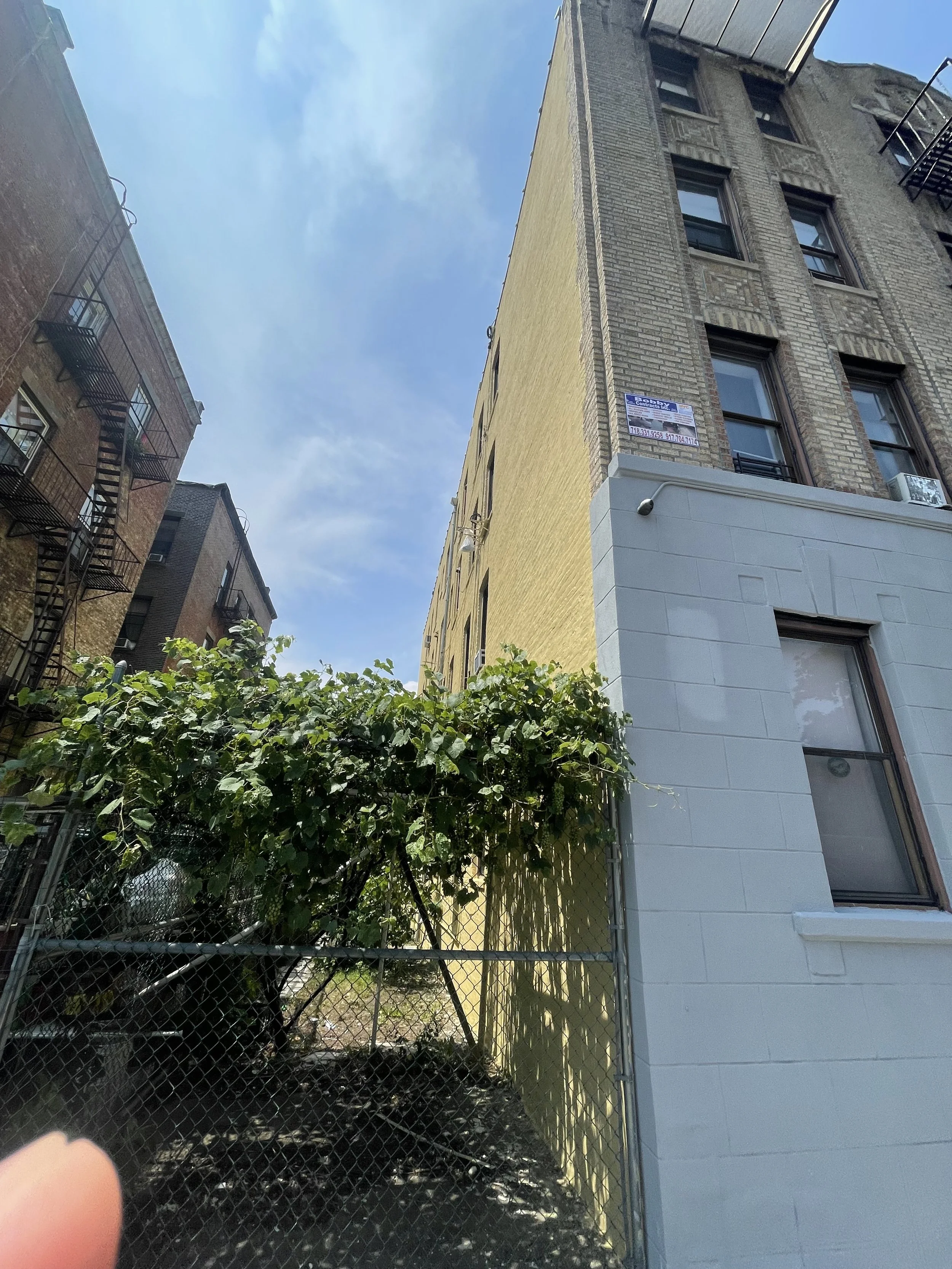 Thorocoat service project