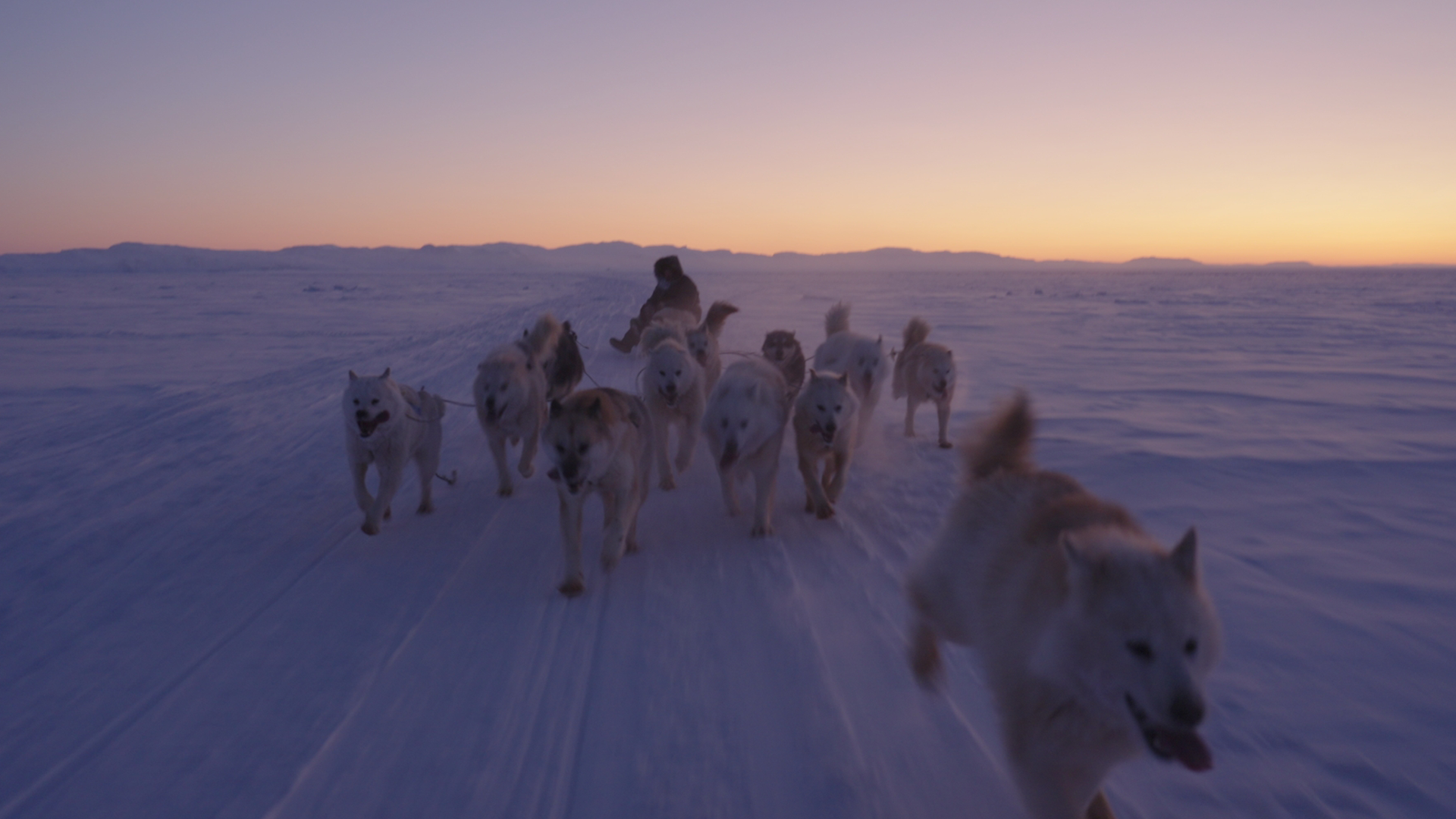 Mark Klassen Toronto DP Trade Secret documentary Untitled Film Works additional cinematography