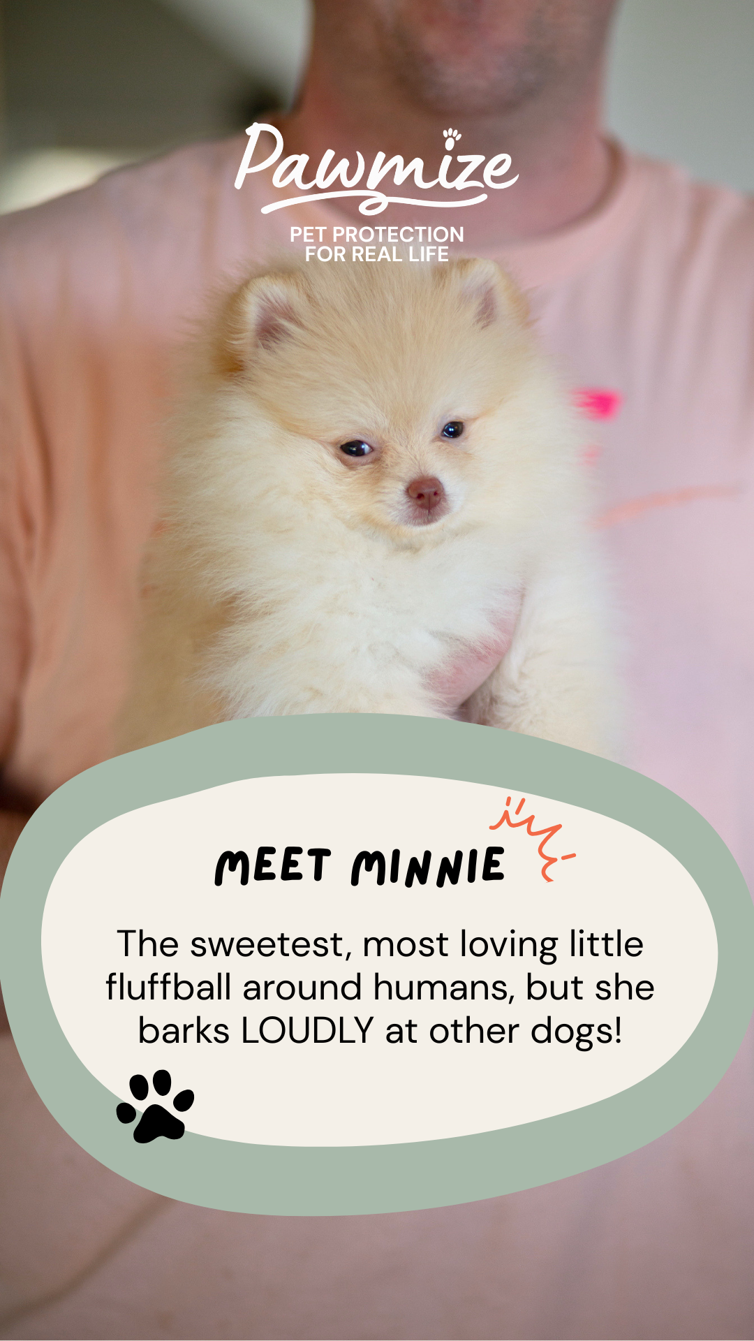 Pawmize educational Story 1