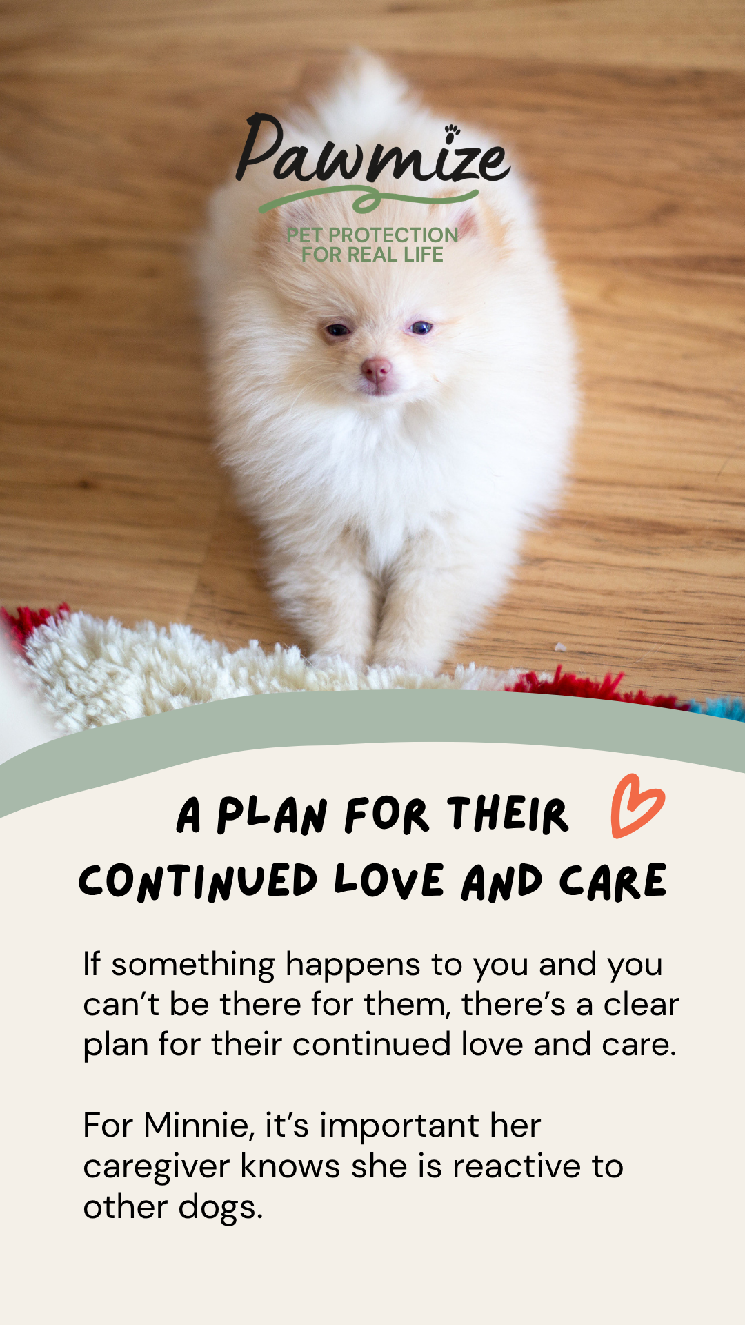 Pawmize educational Story 3