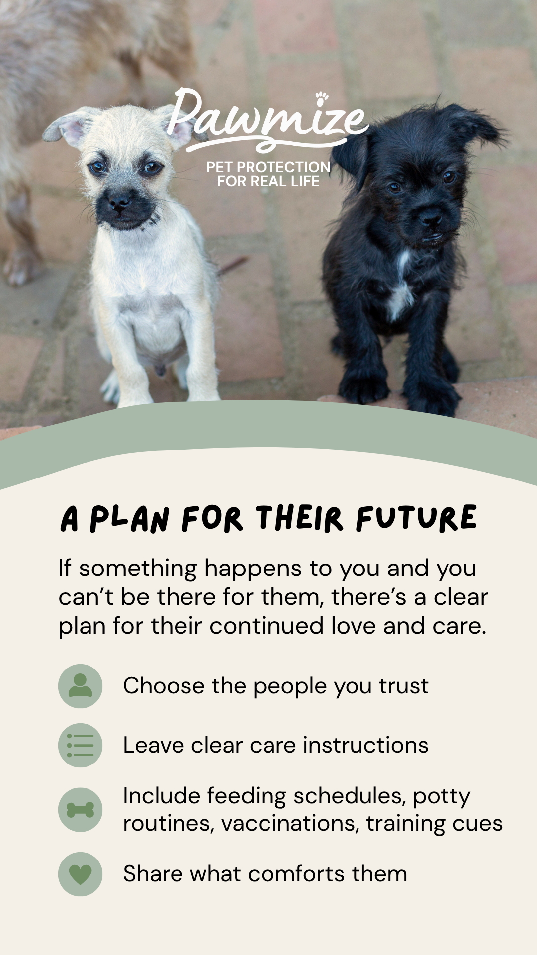 Pawmize educational Story 7