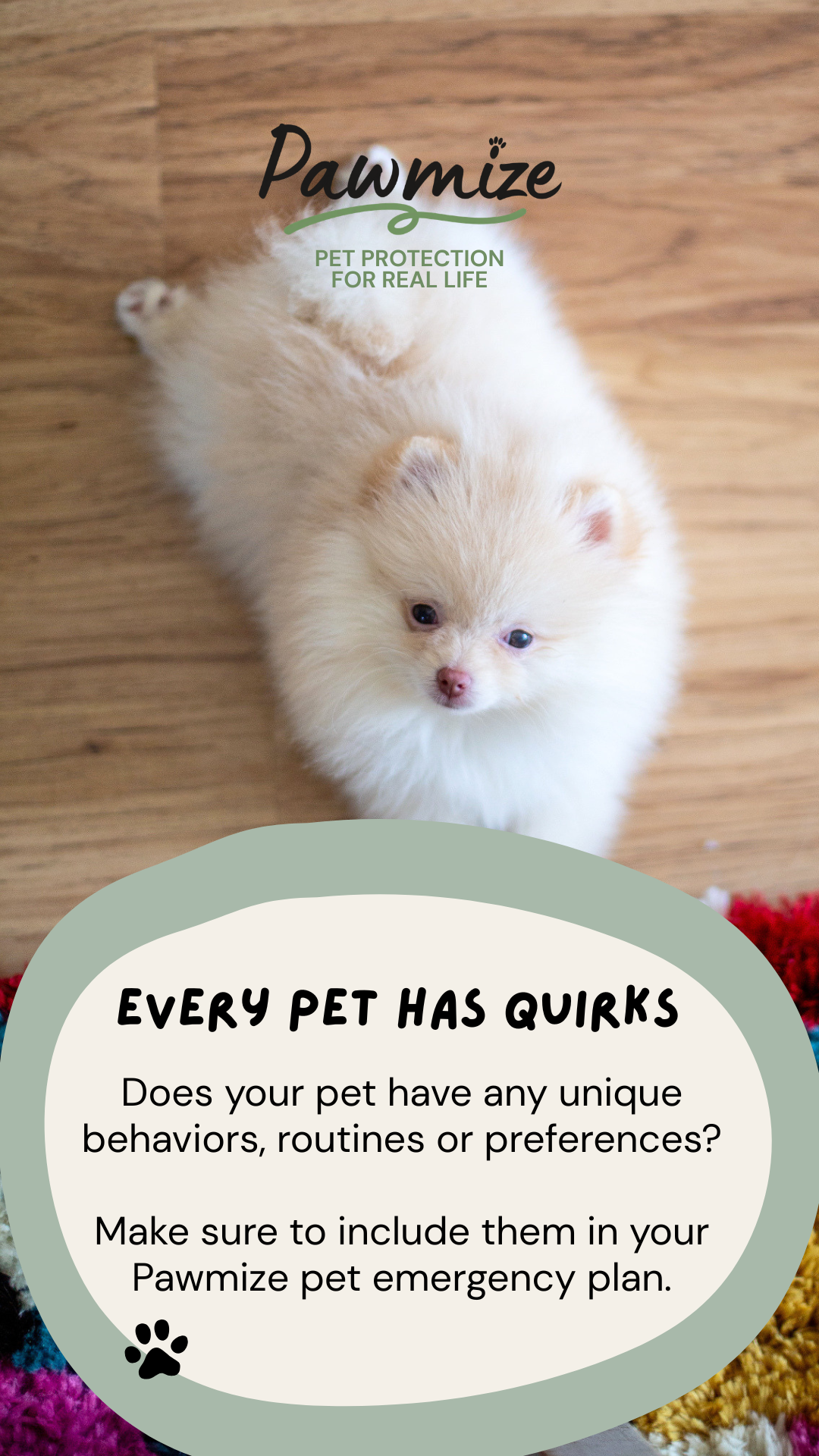 Pawmize educational Story 2