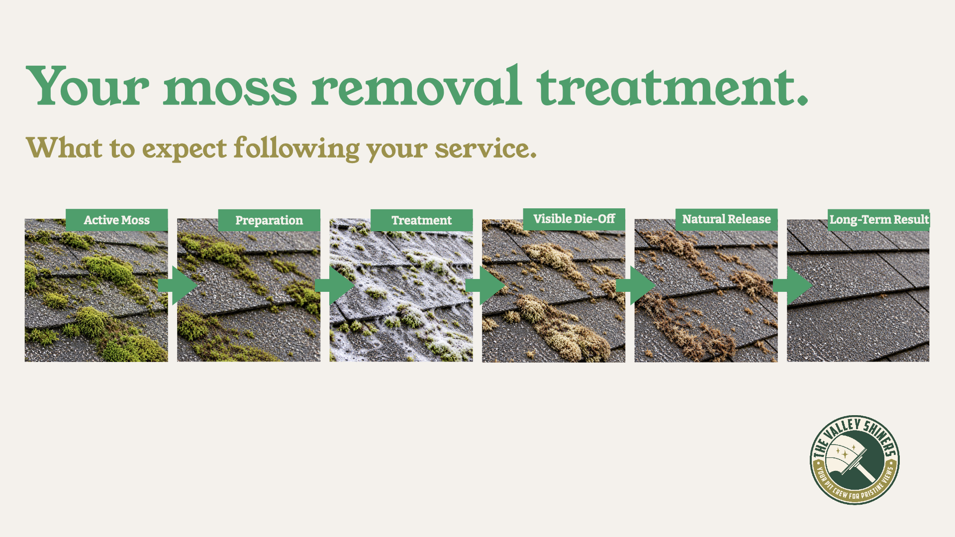 Six-stage Valley Shiners roof moss treatment process showing assessment, preparation, treatment, die-off, natural release, and follow-up