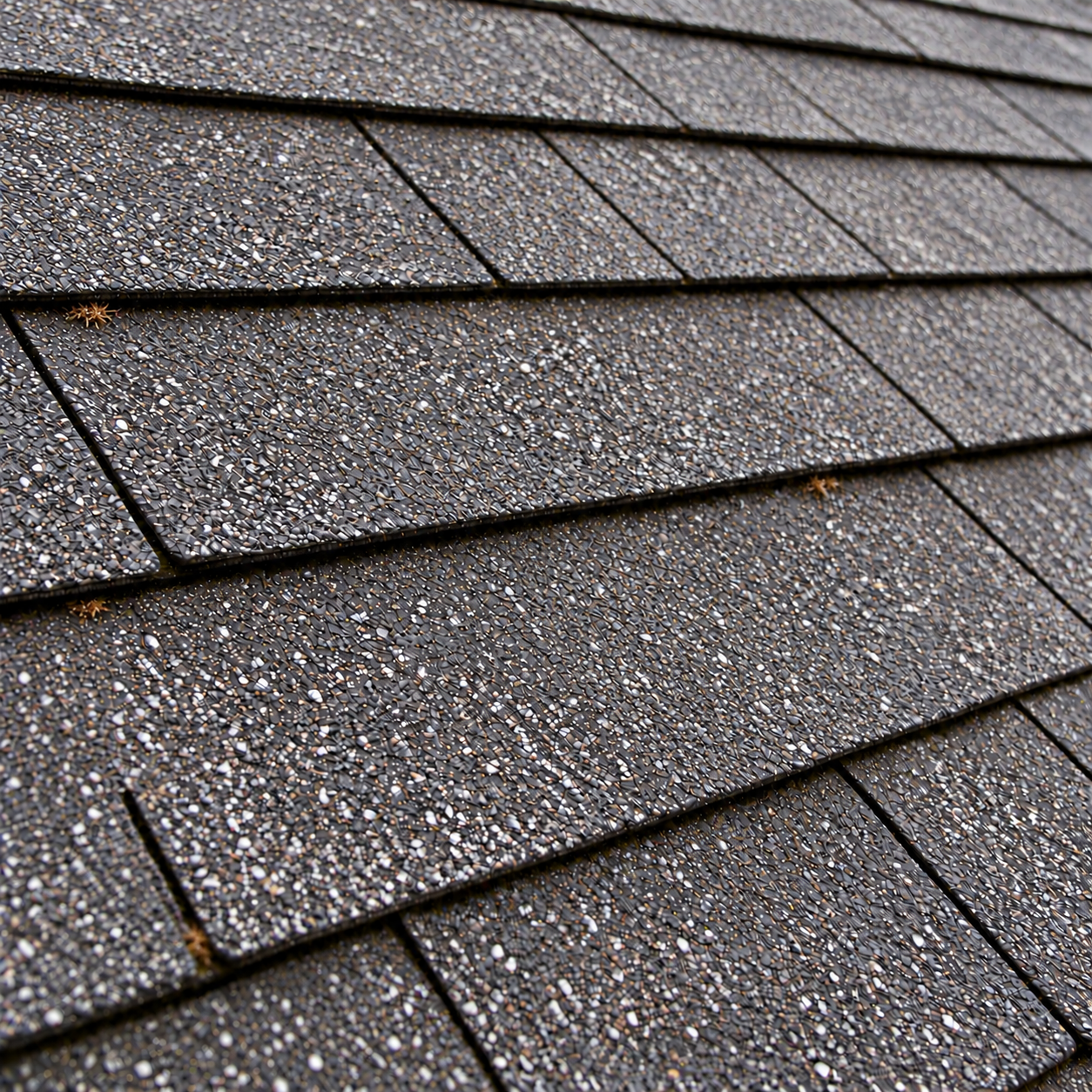 Dead moss gradually releasing from asphalt shingles through rain wind snow and seasonal weather