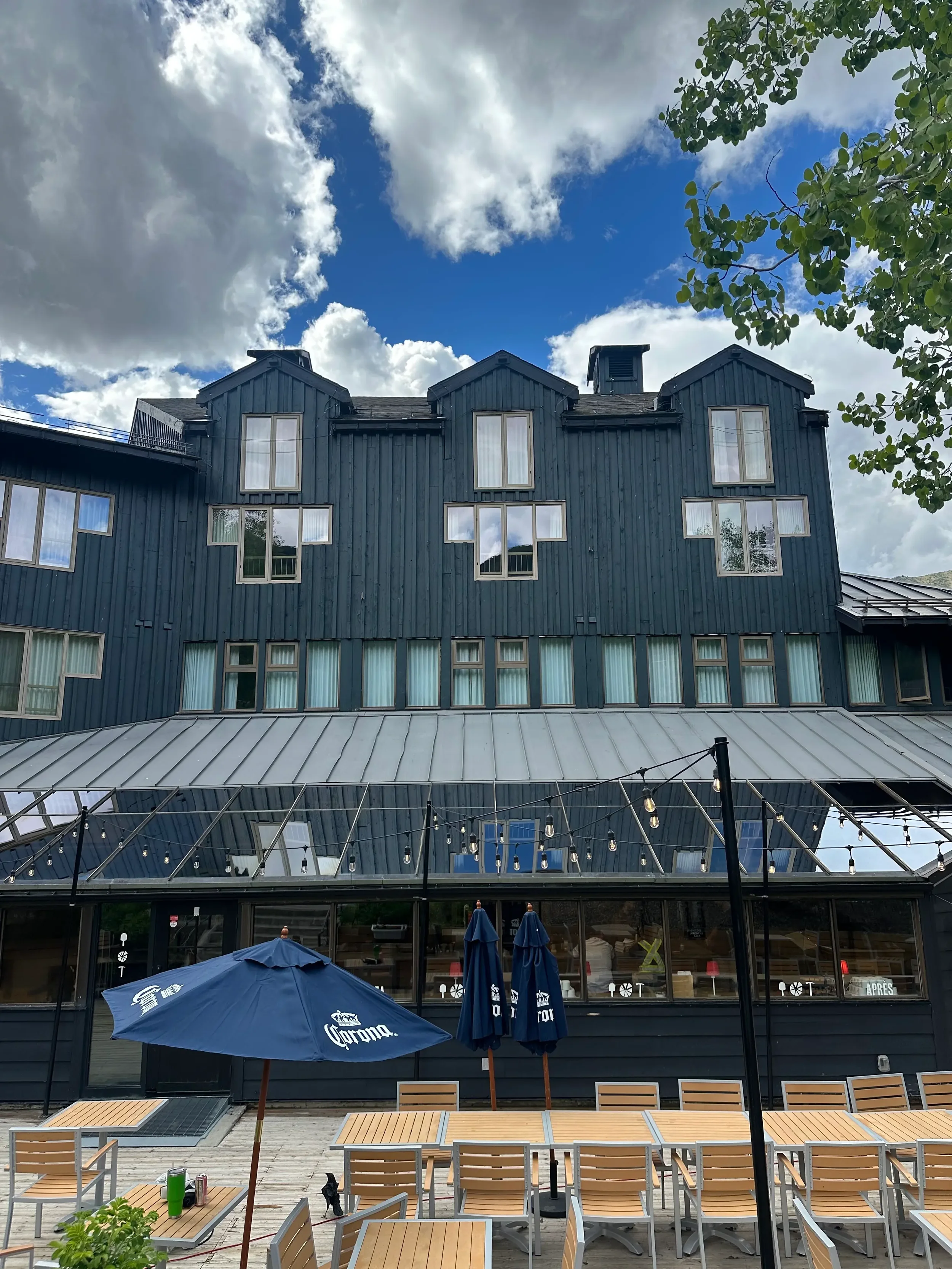 Pure water window cleaning on a four-storey resort building at Panorama Mountain Resort