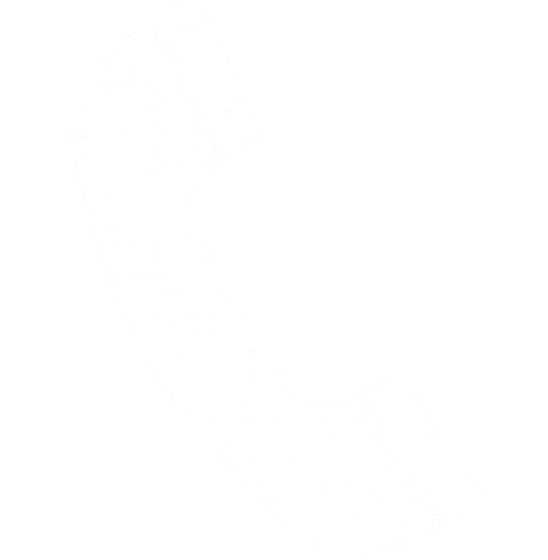 Phone icon