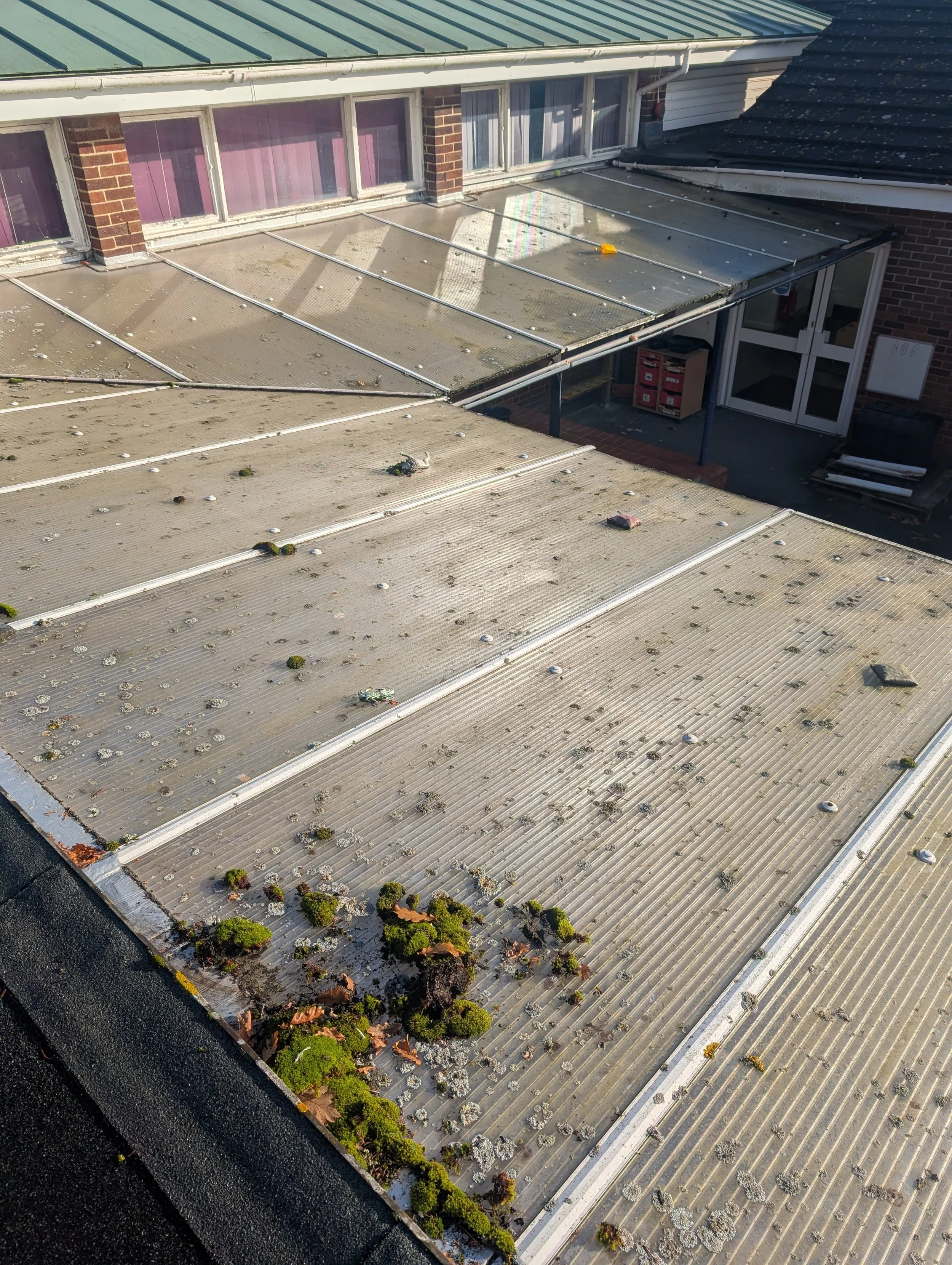 Commercial roof heavily soiled with moss and debris before cleaning Melbourne