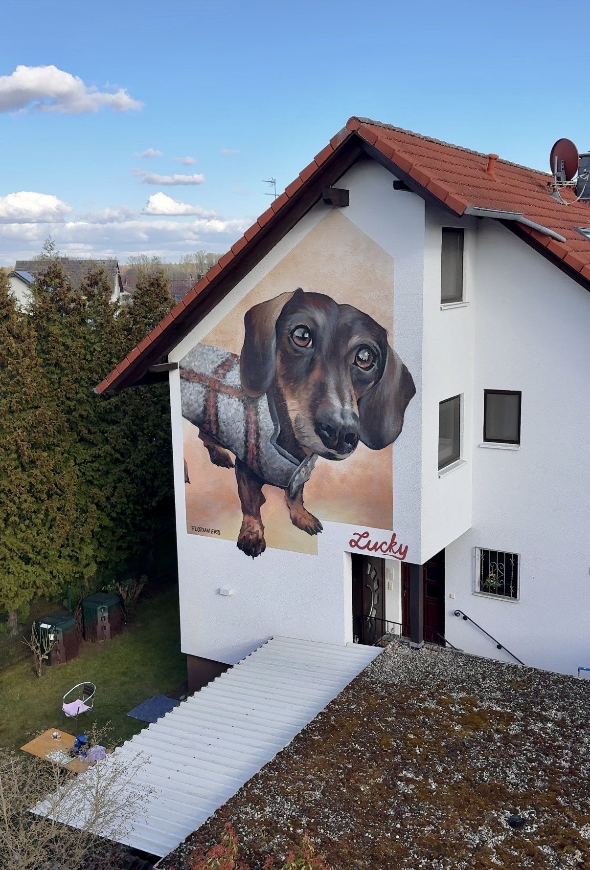 Realistische Dackel-Fassadenmalerei mit fein ausgearbeiteten Fell- und Lichtdetails