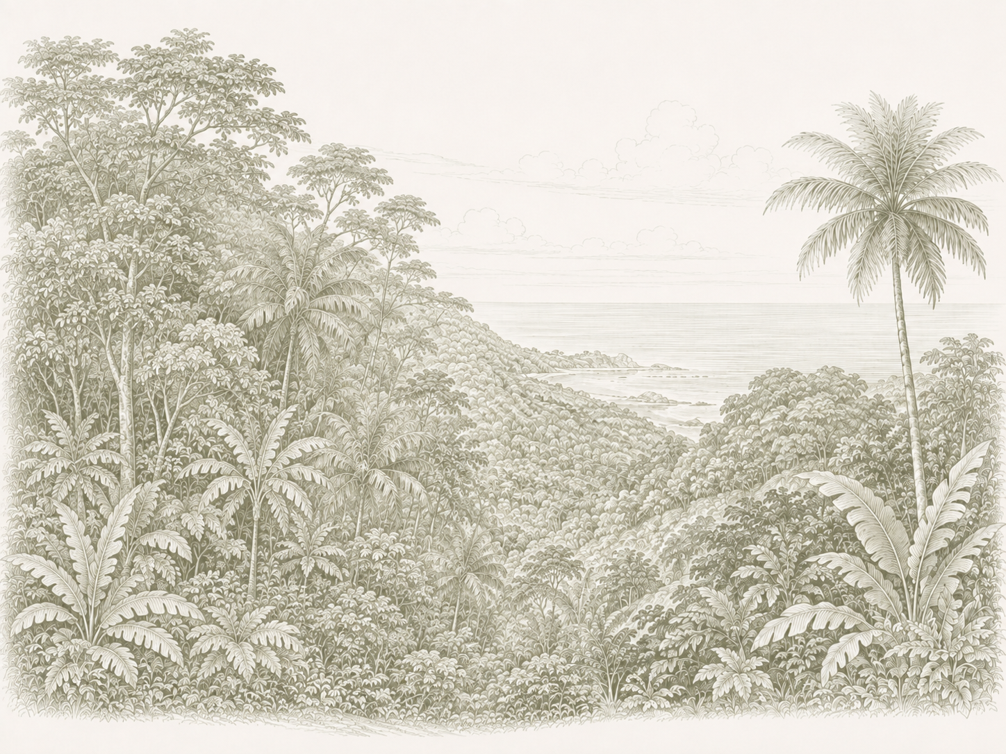 Partial Ocean View lot illustration