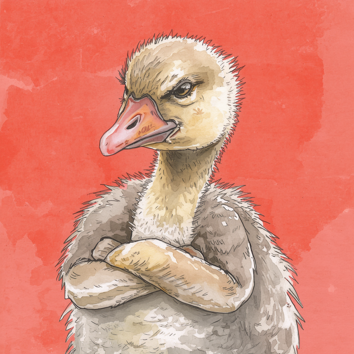 Nest Tested who should ignore both goose illustration