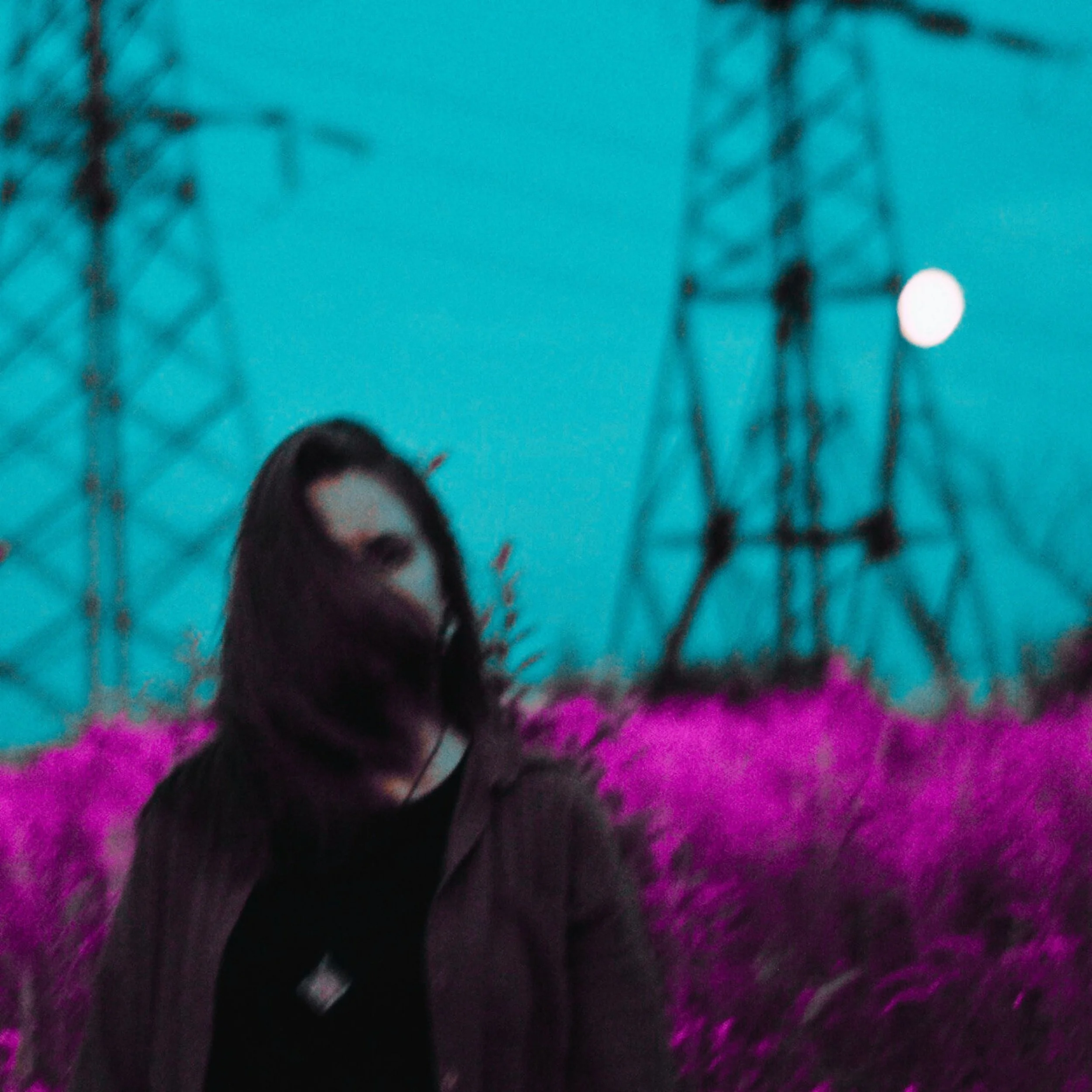 Moonlight Whispers cover