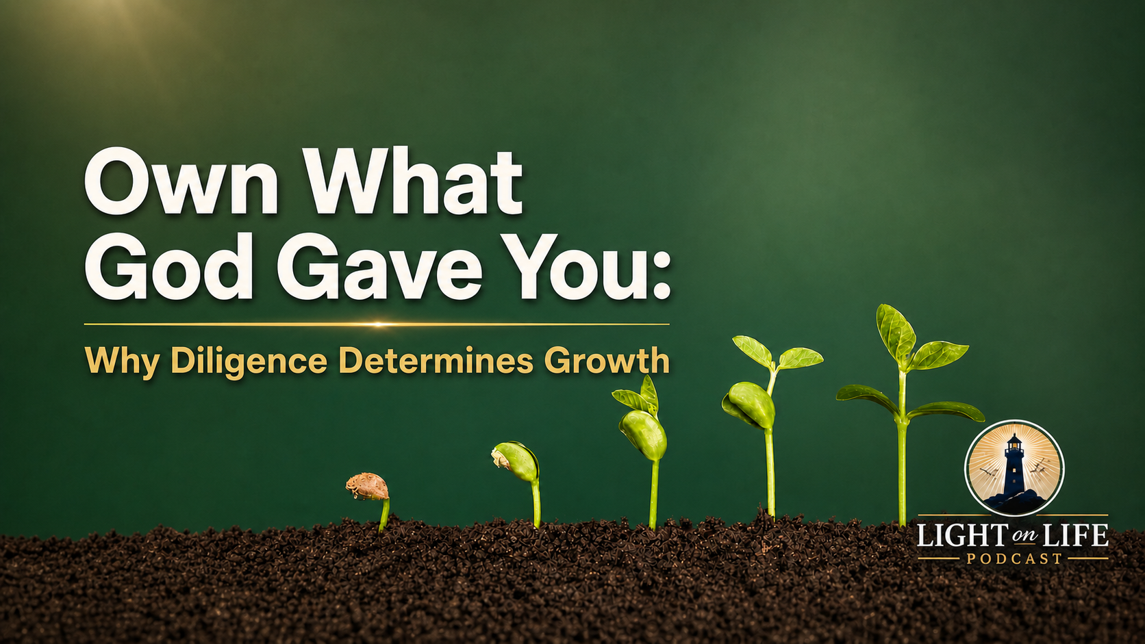 Own What God Gave You: Why Diligence Determines Growth