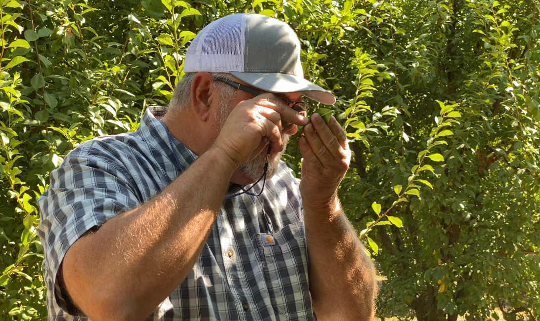 A GAR PCA inspecting a crop for early signs of trouble