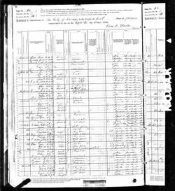 1900 census