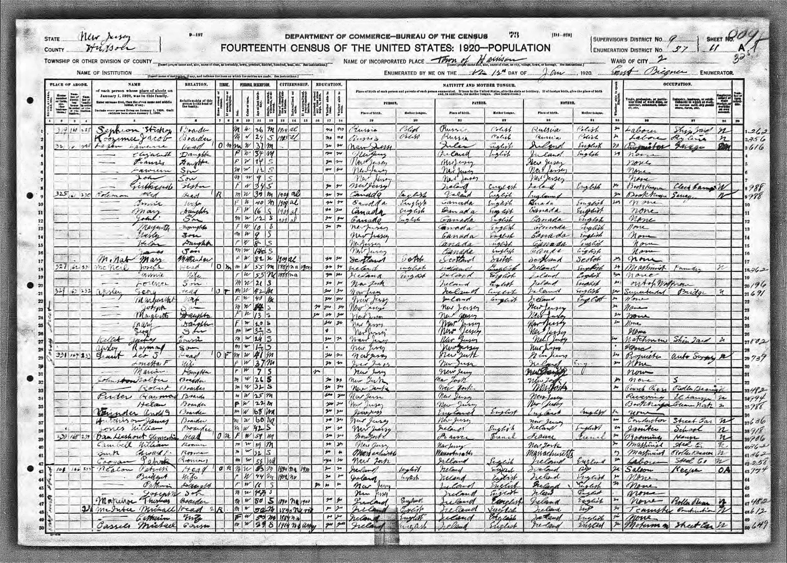 1920 Census Mary Ann McNab
