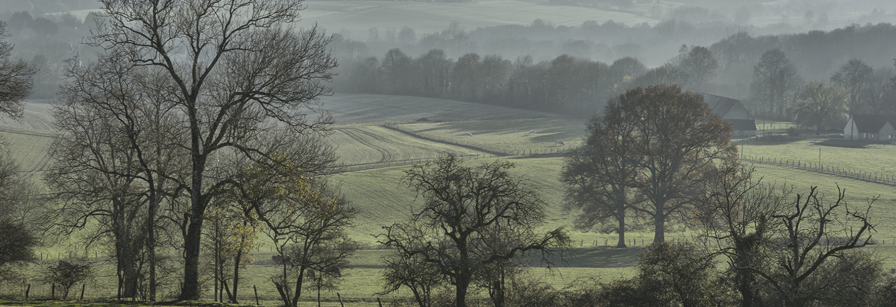The Perche countryside on a misty morning