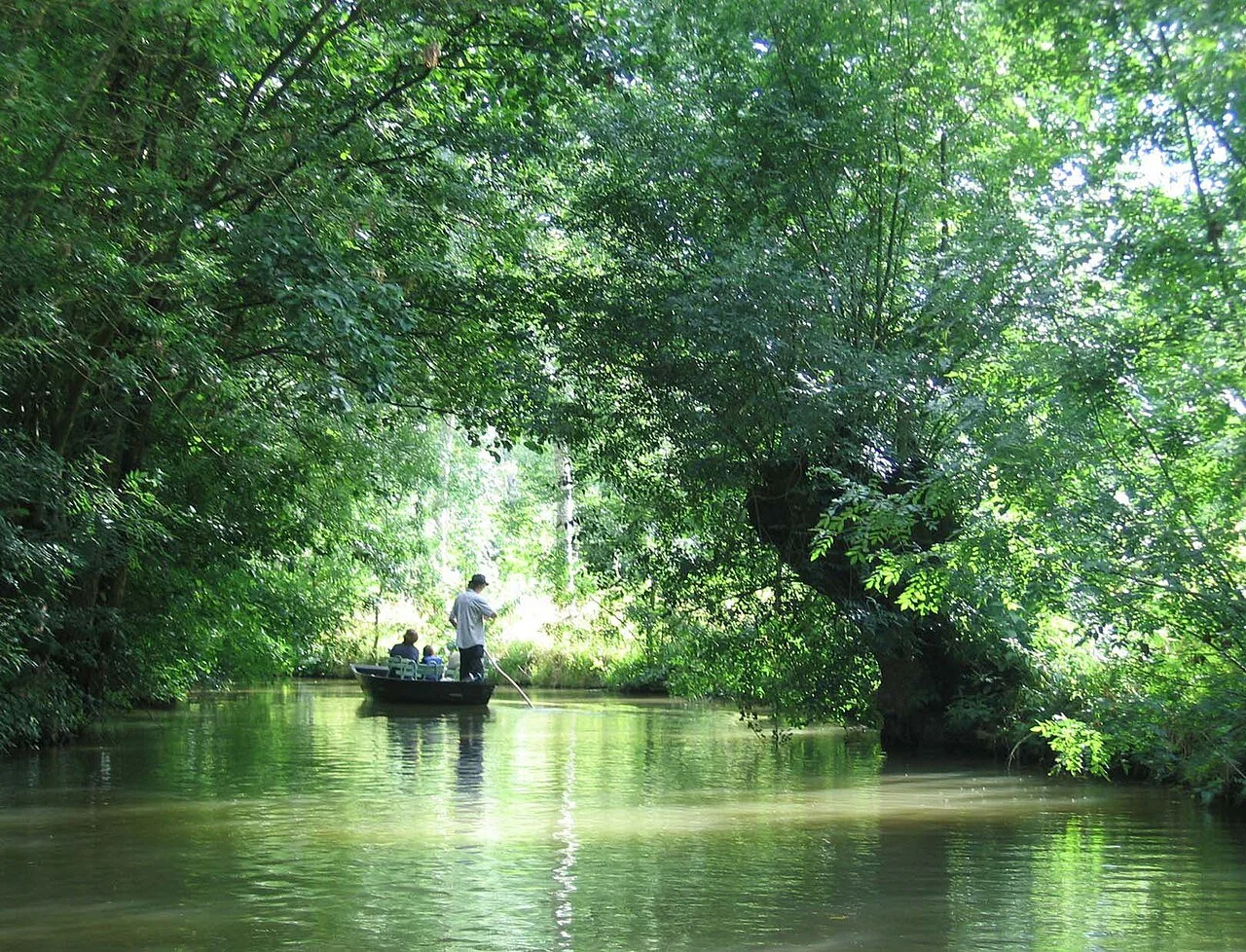 Marais Poitevin - Green Venice of France