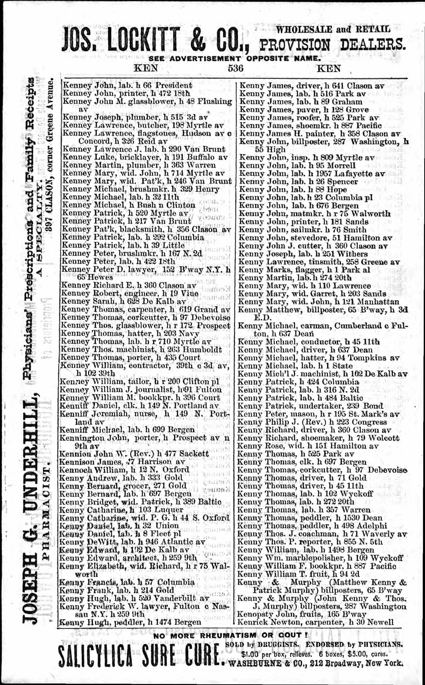 1879 Brooklyn Directory
