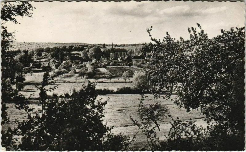 General view of Saint-Martin-du-Vieux-Bellême, mid-20th century postcard