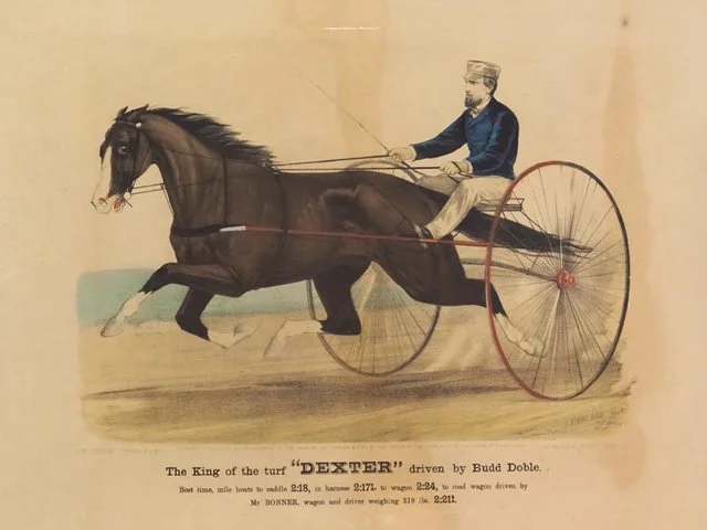 Dexter the Famous Trotting Horse