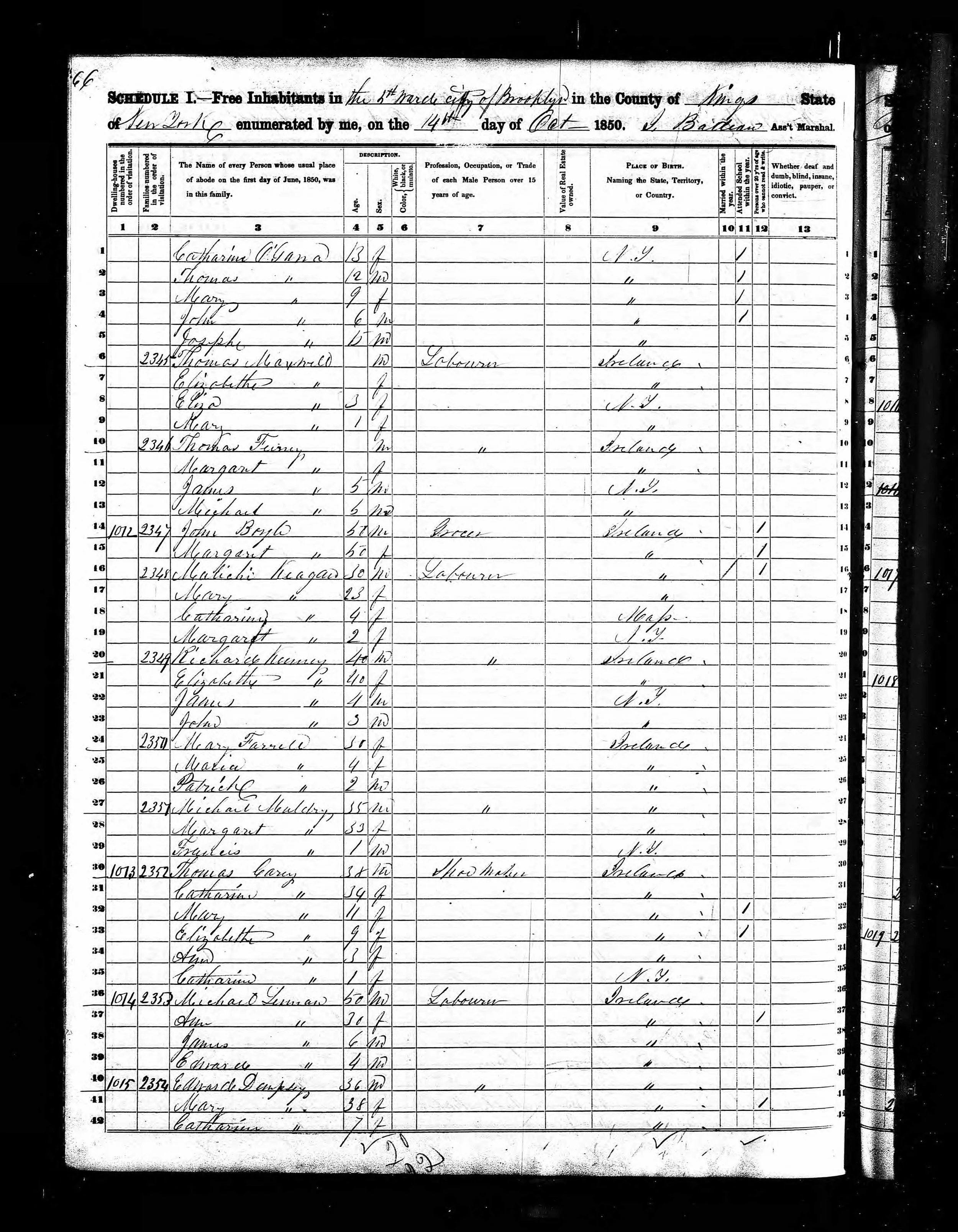 1850 Census Ward 5 Brooklyn