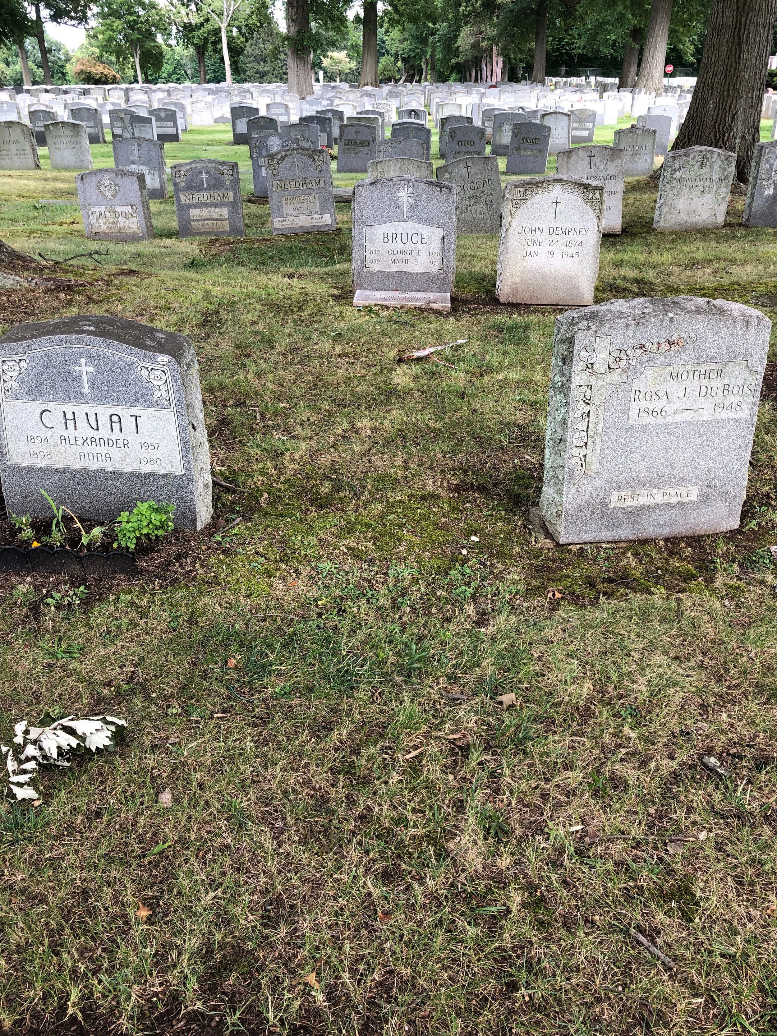 Unmarked grave plot at Gate of Heaven Cemetery East Hanover New Jersey where Helen Gladys Robertson Verhoek and her son Leslie John Verhoek Jr are buried together
