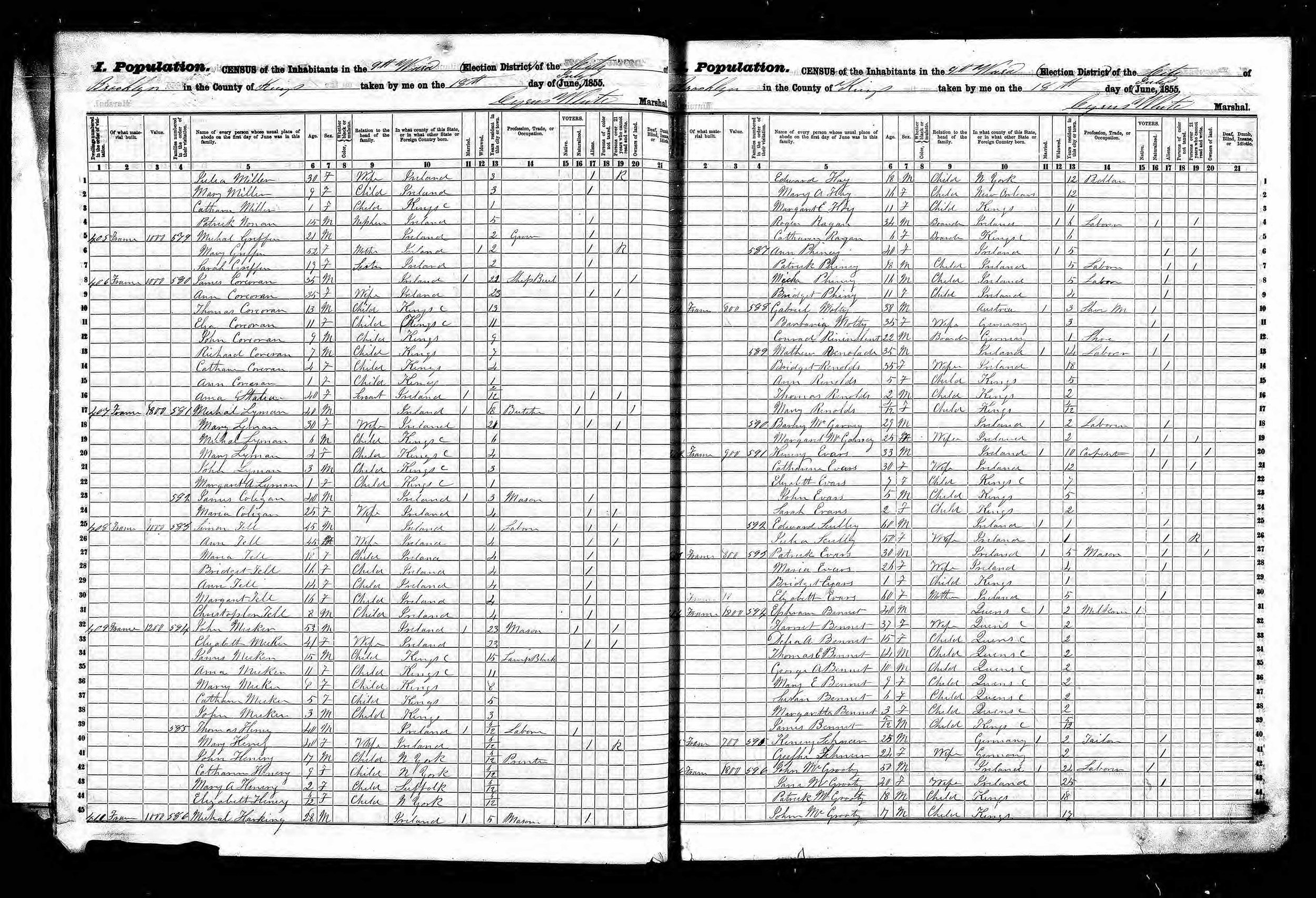 1855 New York State census, Brooklyn Ward 9, James Corcoran household