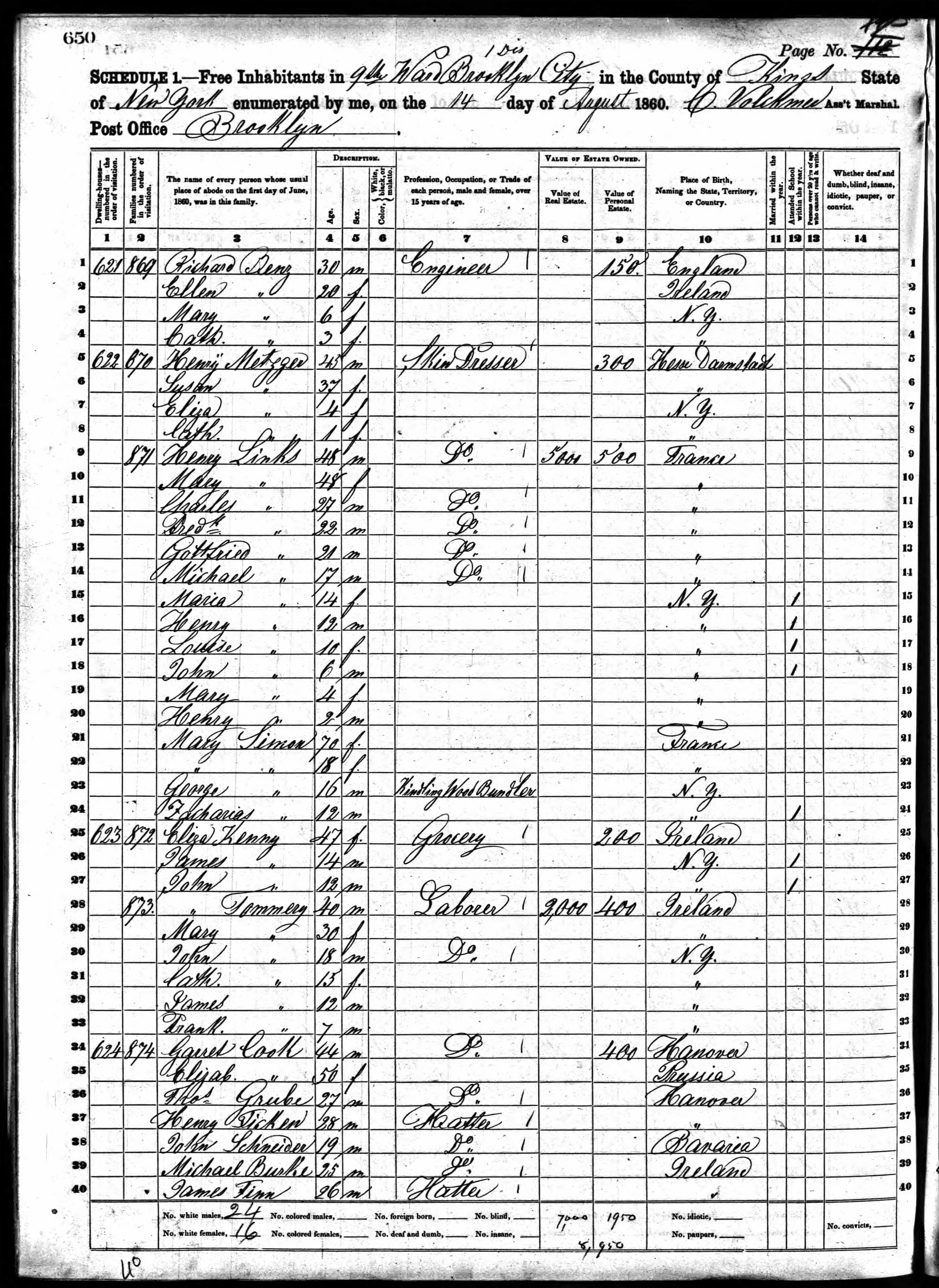 1860 Census 9th Ward Brooklyn John Kenny