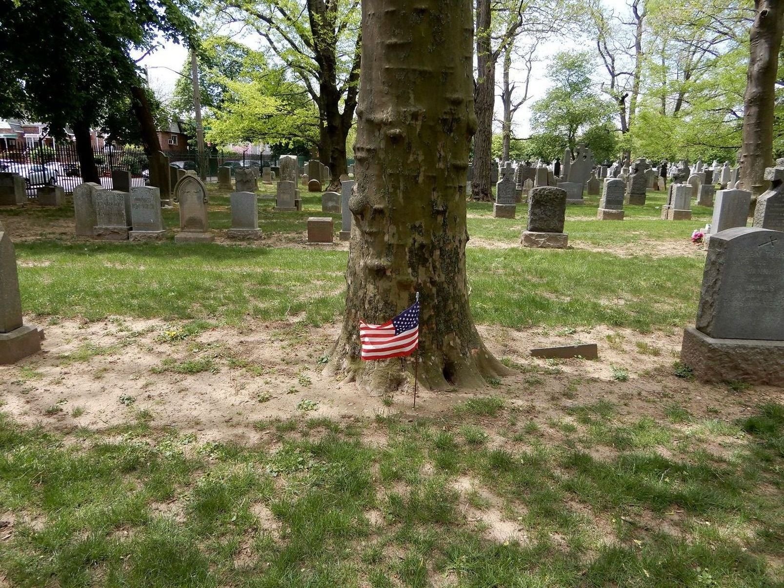 Find a Grave photograph of Holy Cross Cemetery plot Lett Row L Plot 336 showing the McKenna family plot with American flag at base of tree