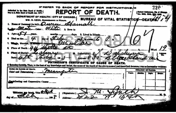 Owen Hamall Death Certificate, Chicago 1898 — cause of death: meningitis