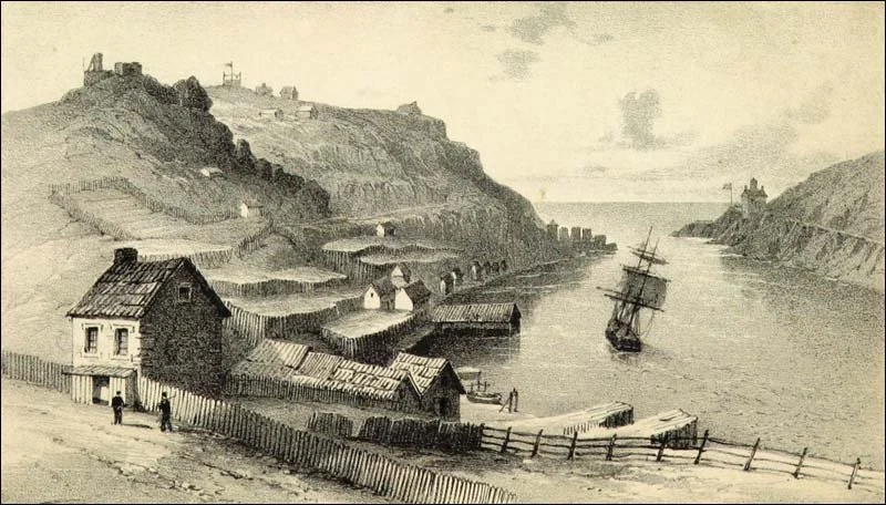 St. John's Newfoundland harbor with fish stages, 1842