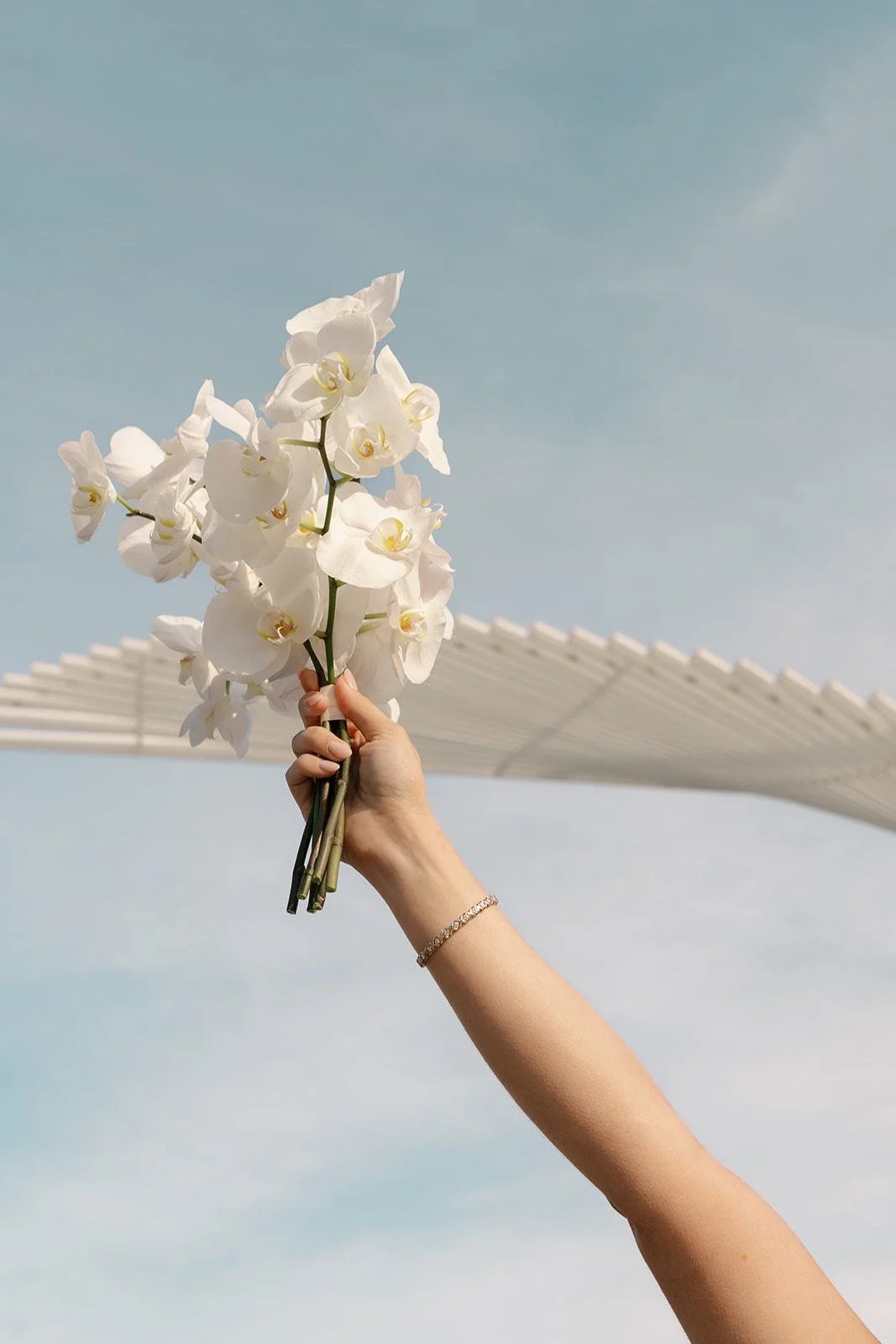 An orchid bouquet raised against the sky beside the museum's wing
