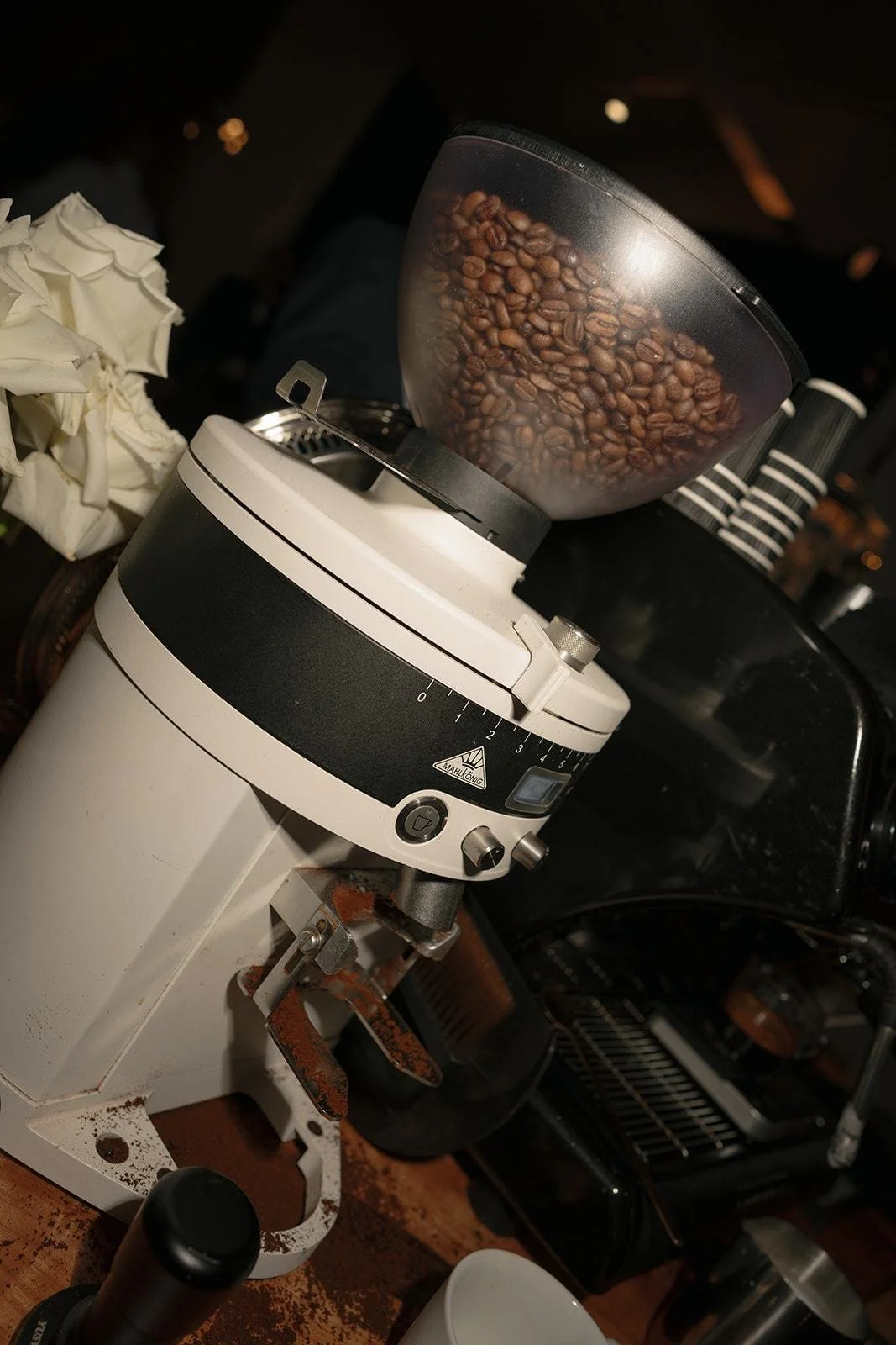 Espresso grinder full of coffee beans beside white roses