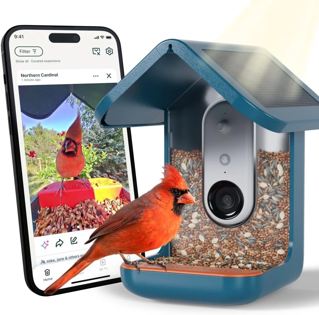 Bird Buddy Pro Solar Smart Bird Feeder