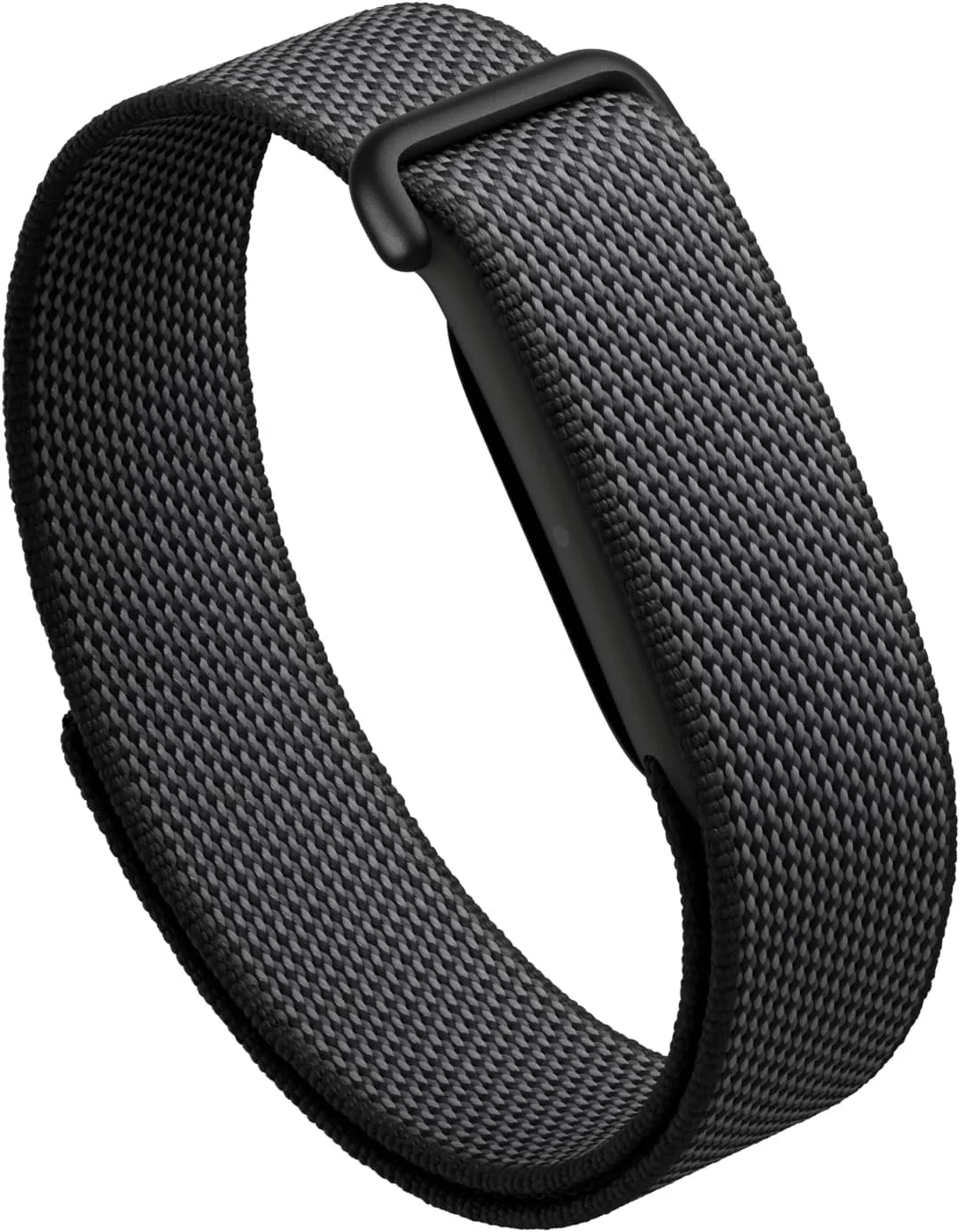 Google Fitbit Air Performance Loop Band