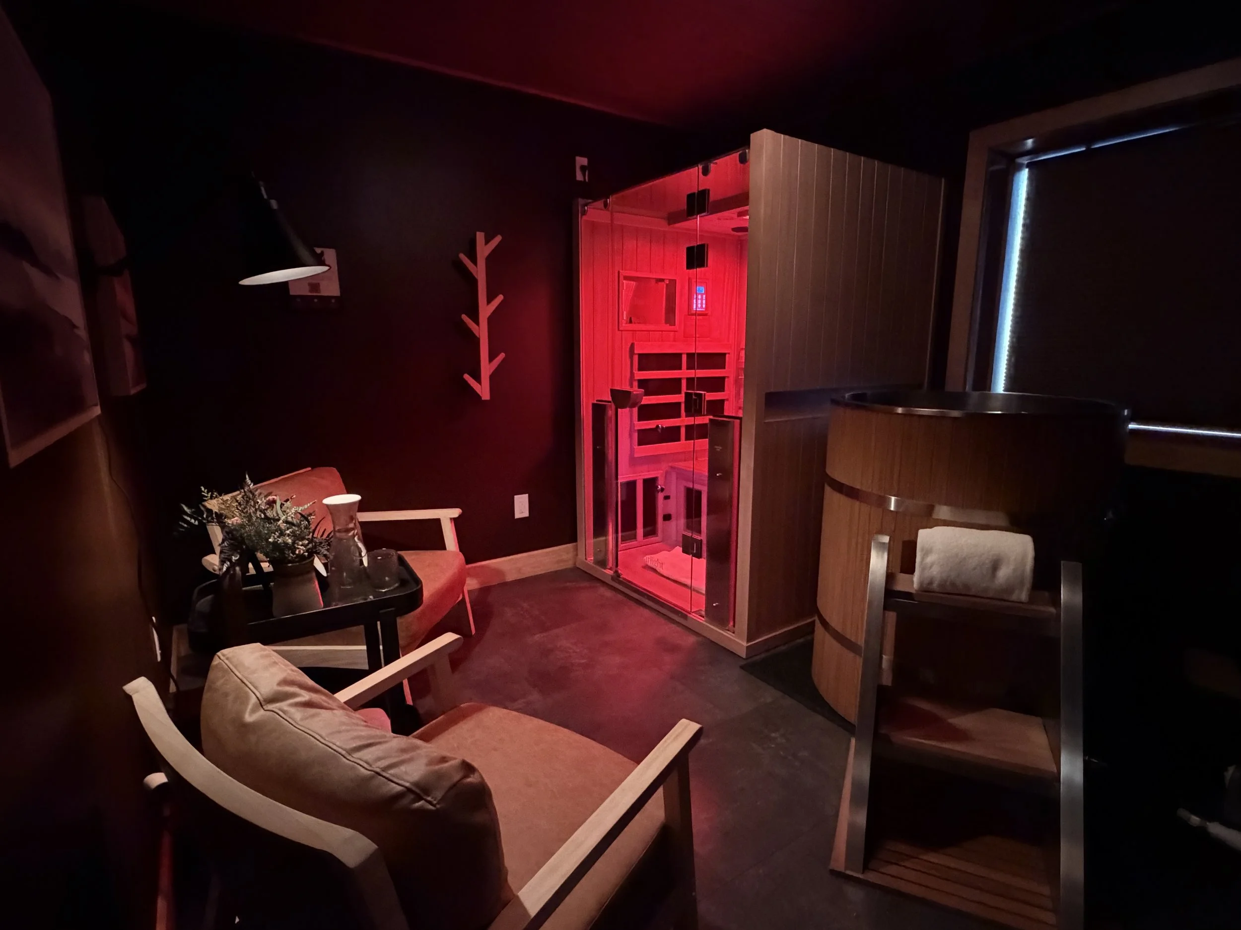 Room 2 — contrast therapy suite with sauna and cold plunge for one to two people