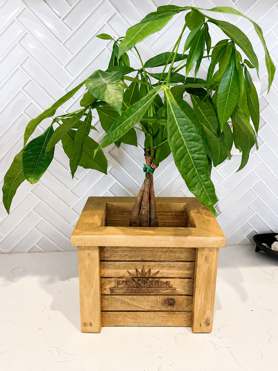 Small cedar planter box with a green houseplant