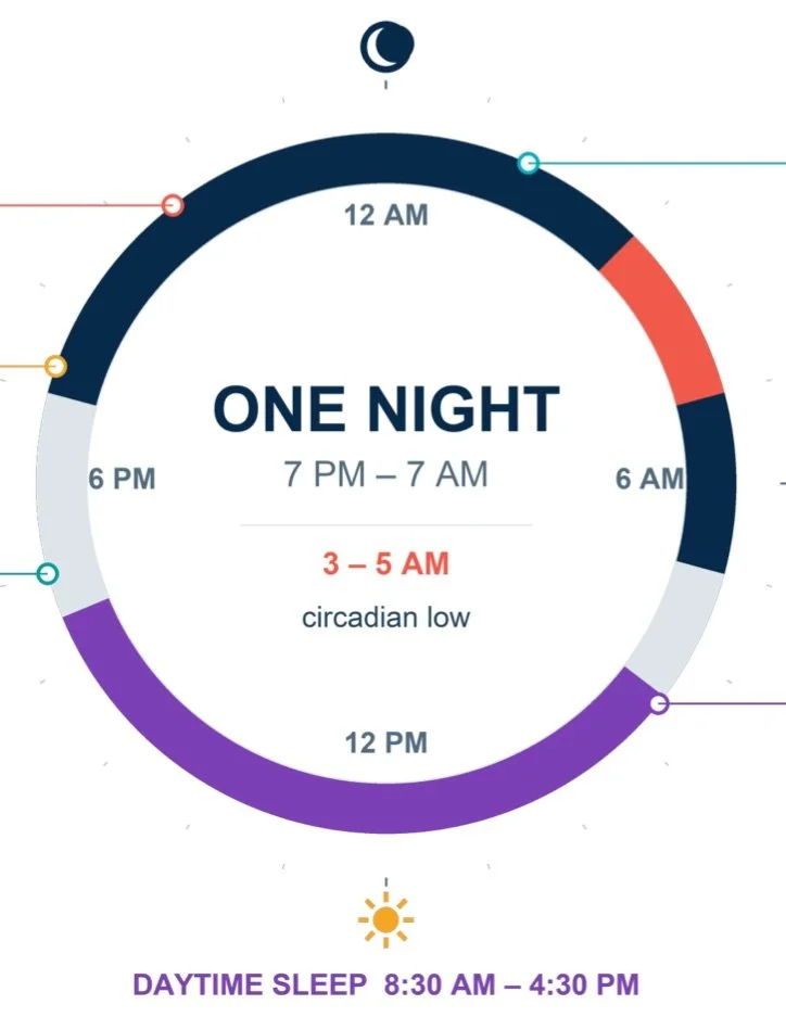Clock diagram of one night shift, 7 PM to 7 AM. The circadian low is 3 to 5 AM. Daytime sleep is 8:30 AM to 4:30 PM.
