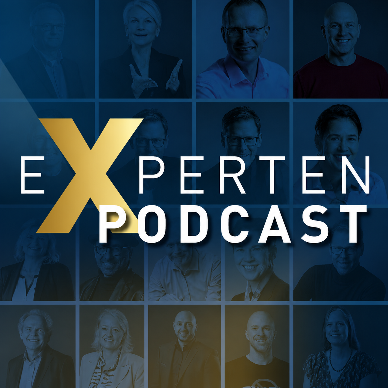 Expertenpodcast