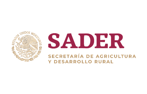 Logo 7