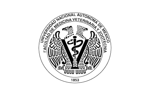 Logo 8