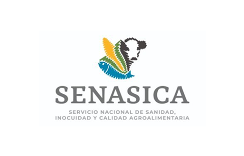 Logo 5