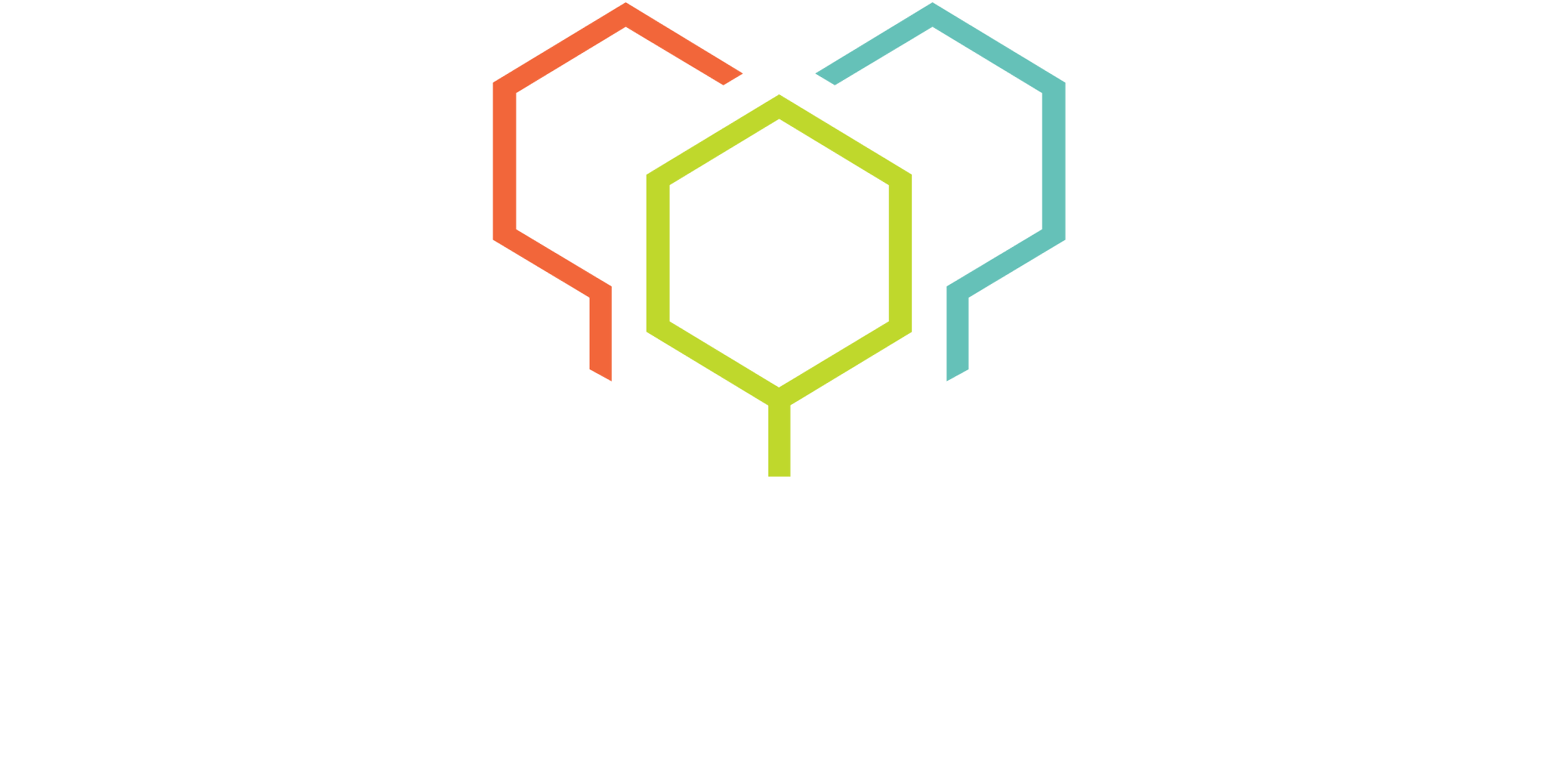 Memory Tree