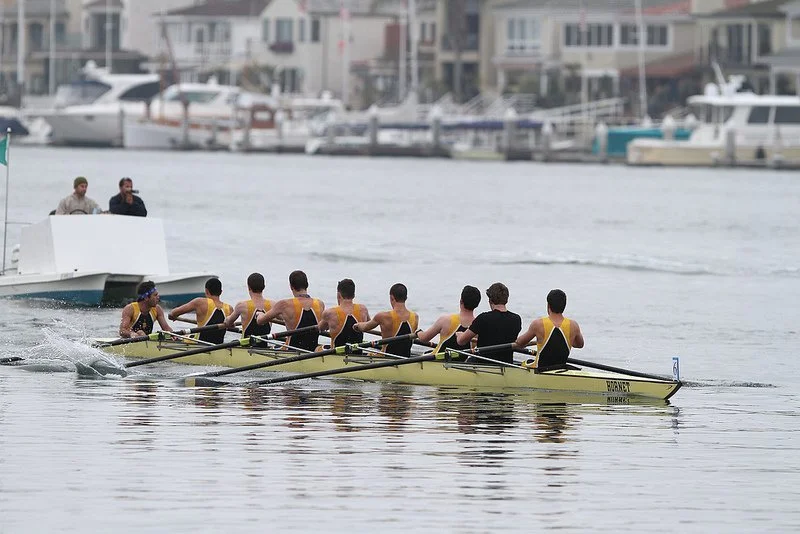 8587390755_d5be524fa2_c