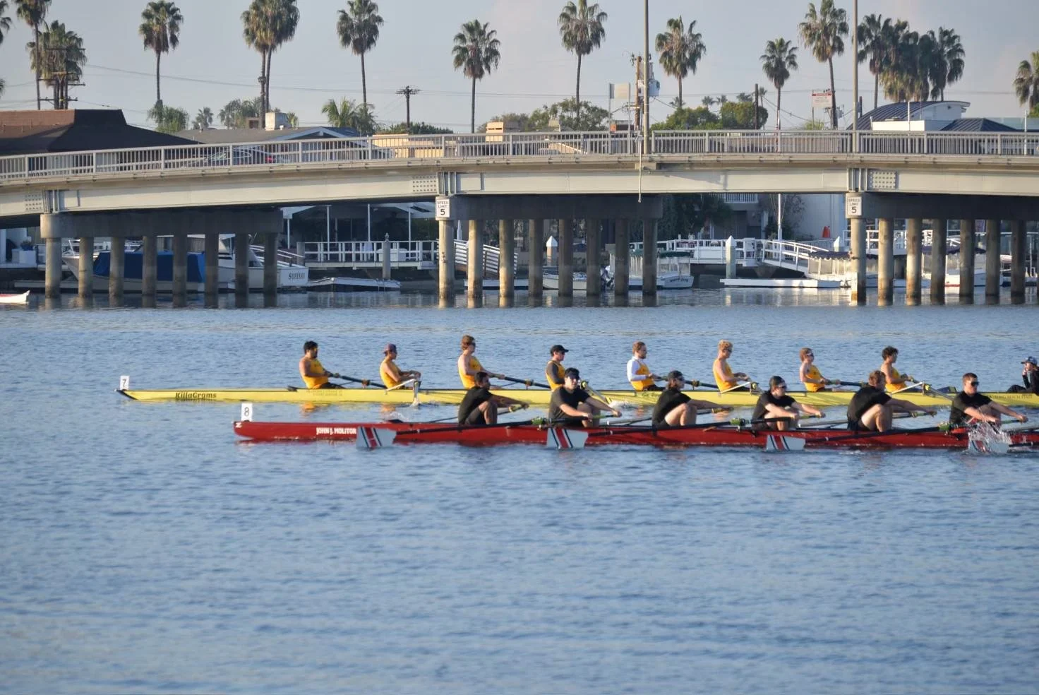 Varsity eight in the head race with San Diego State University behind them.