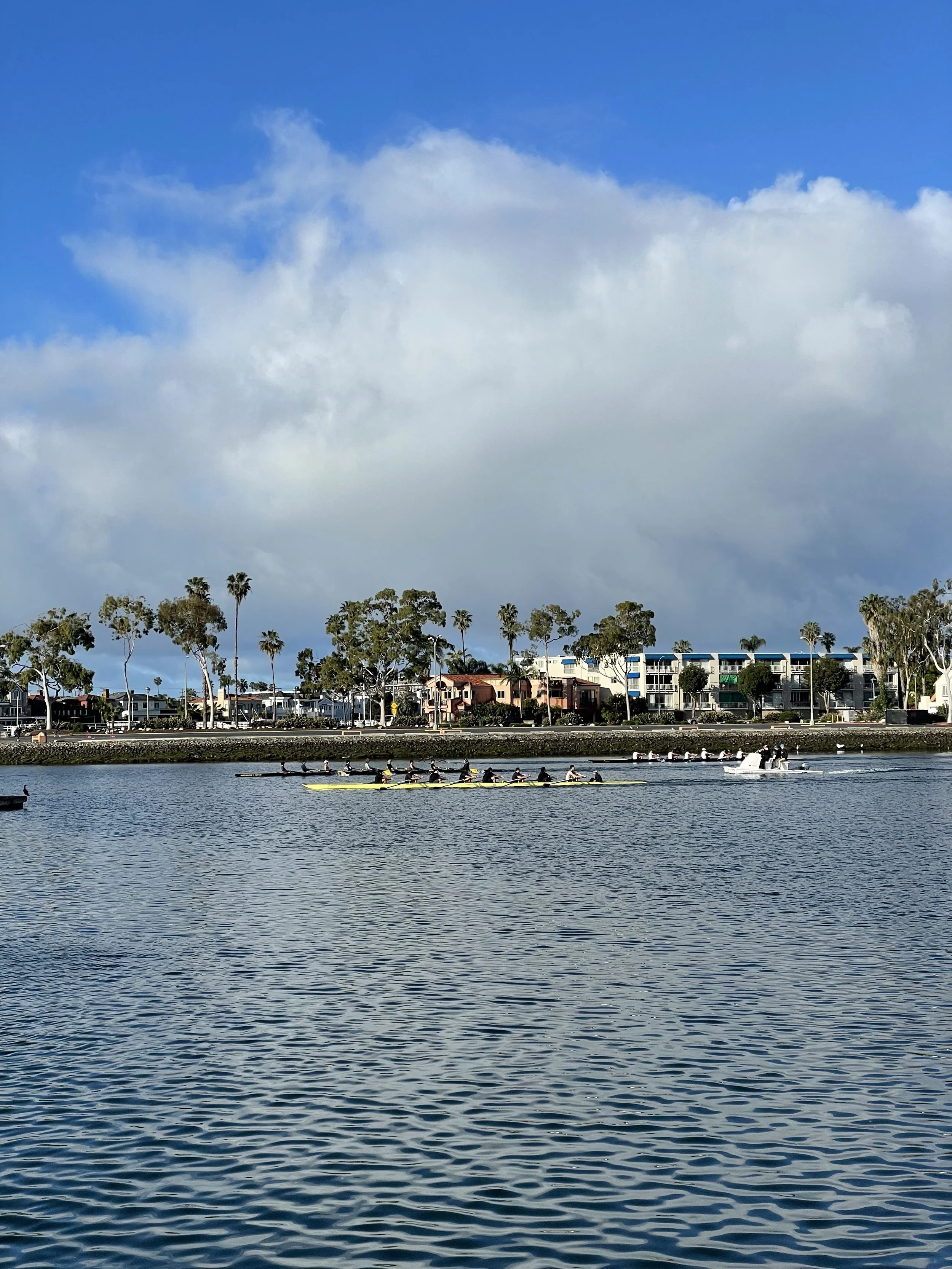 Long Beach Men’s Crew in the yellow boat racing against UCLA andUSC.