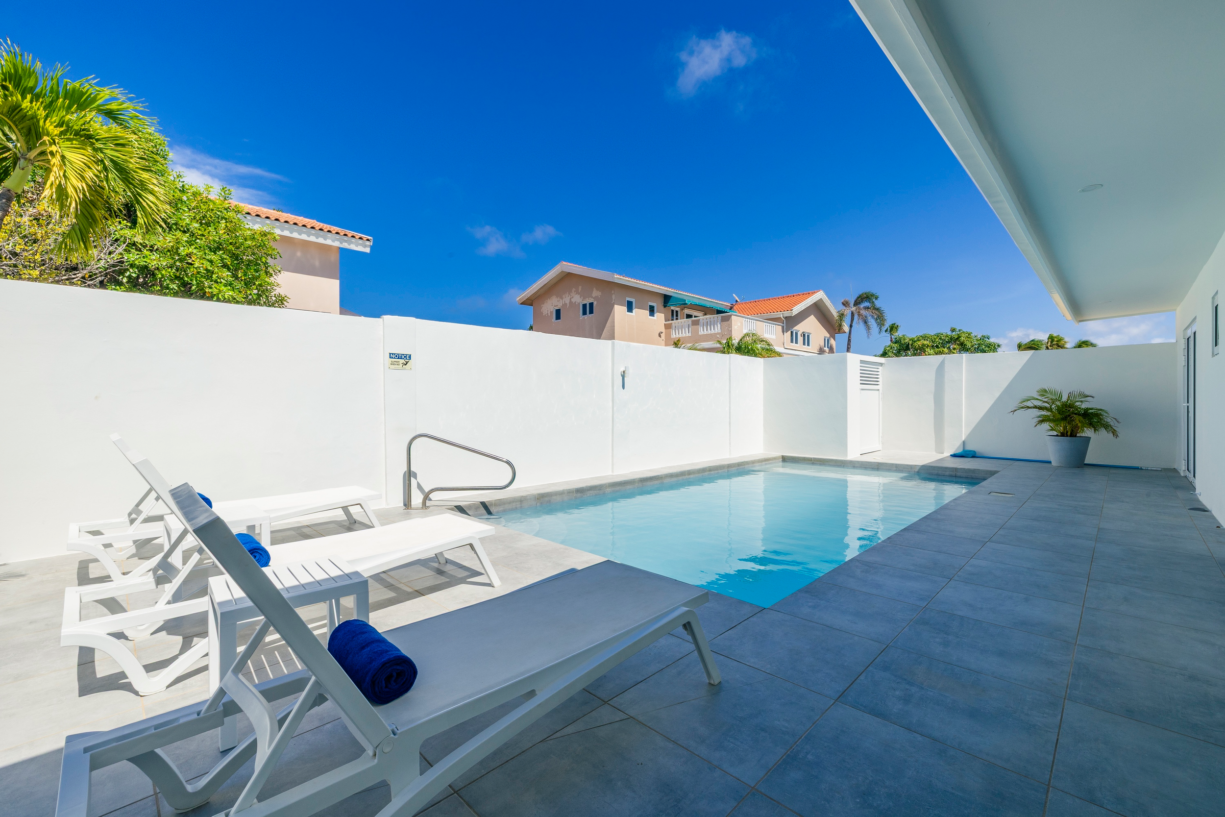 Rear Pool
